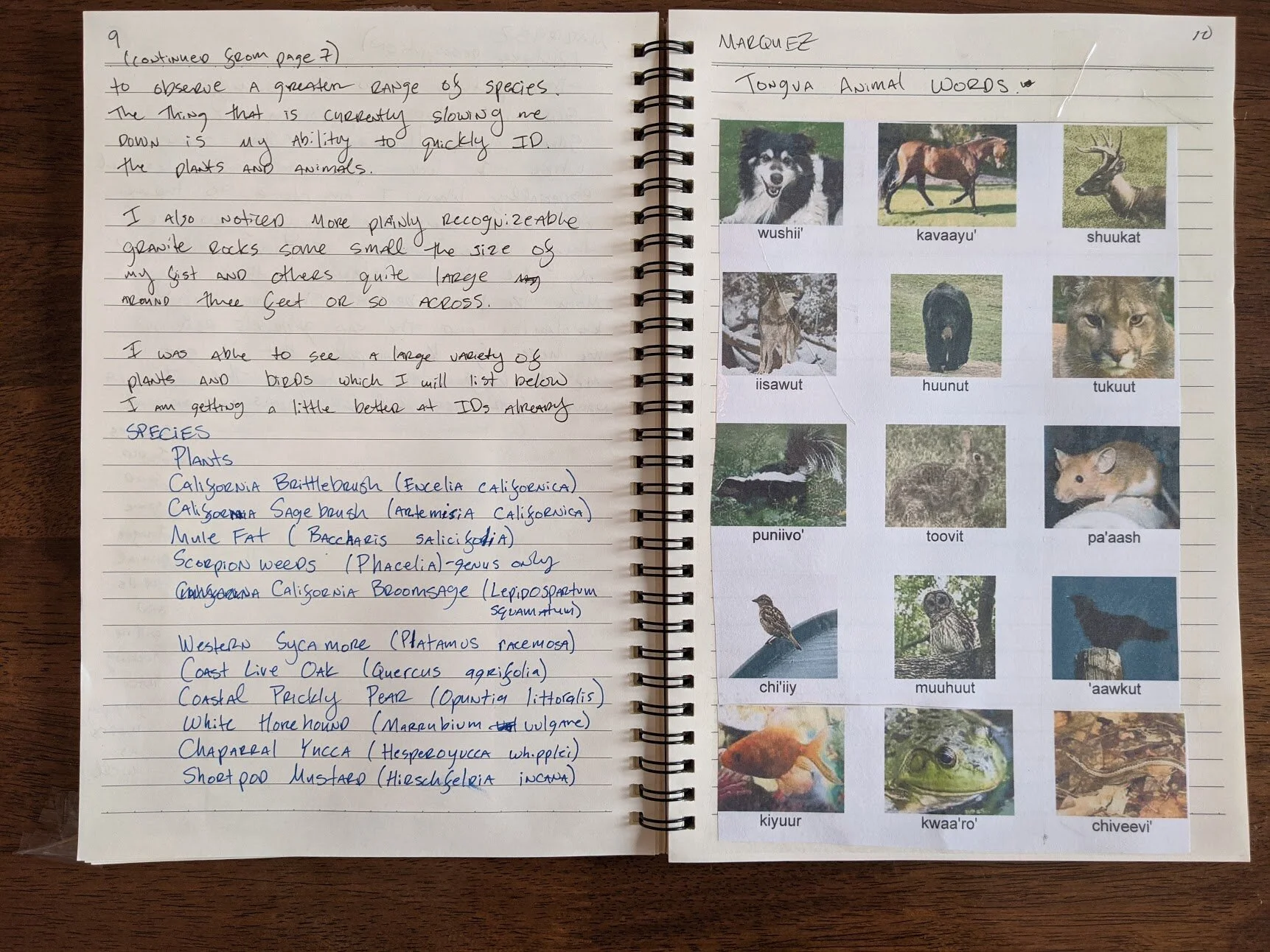 Field Journal 2021_9.jpg