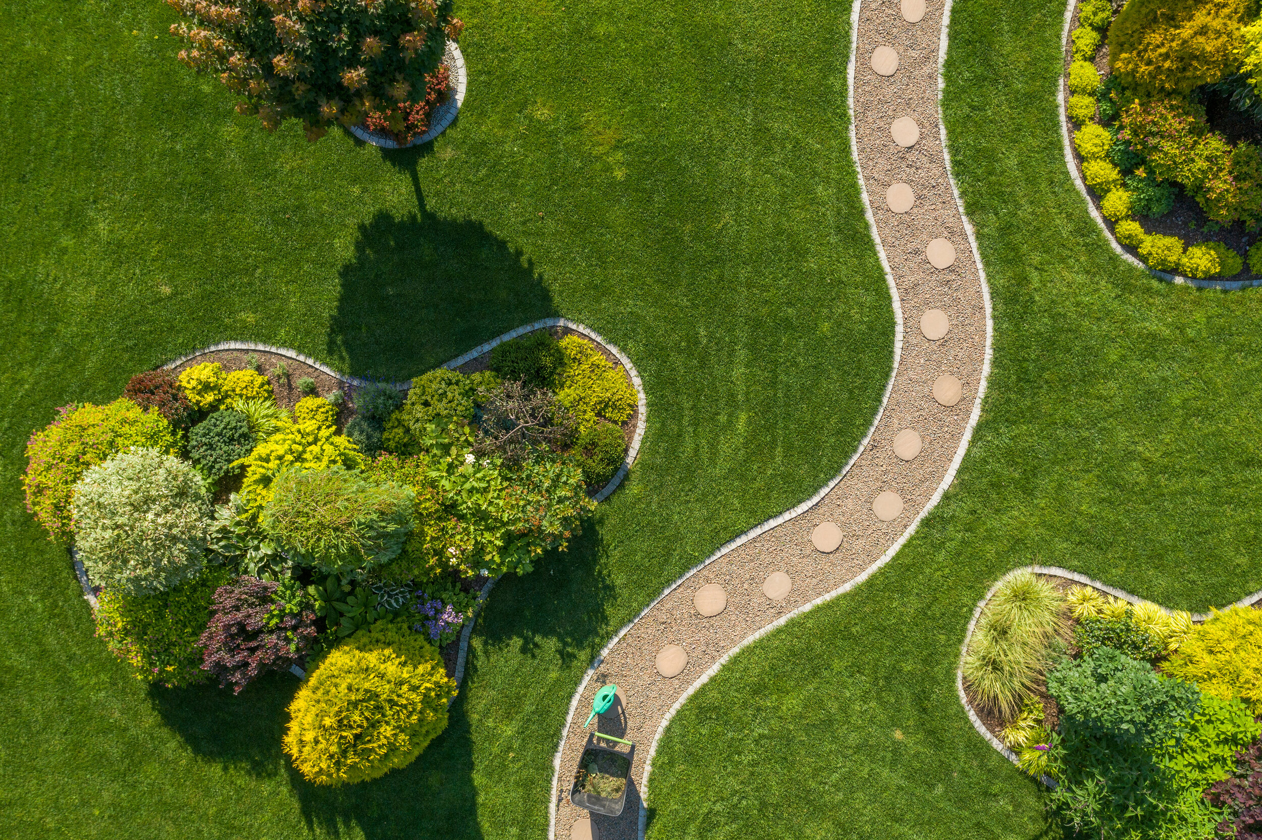 mature-backyard-garden-with-large-grass-lawn-aeria-ZCQ84N2.jpeg
