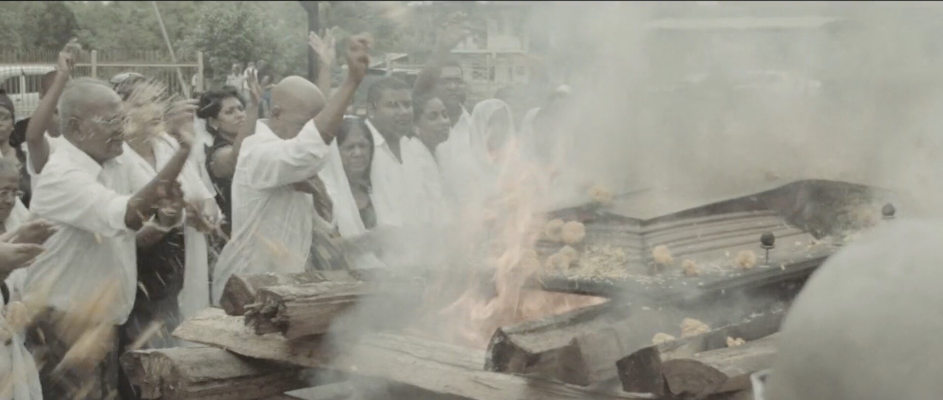 Screen Shot 2020-08-14 at 4.17.50 PM.jpg