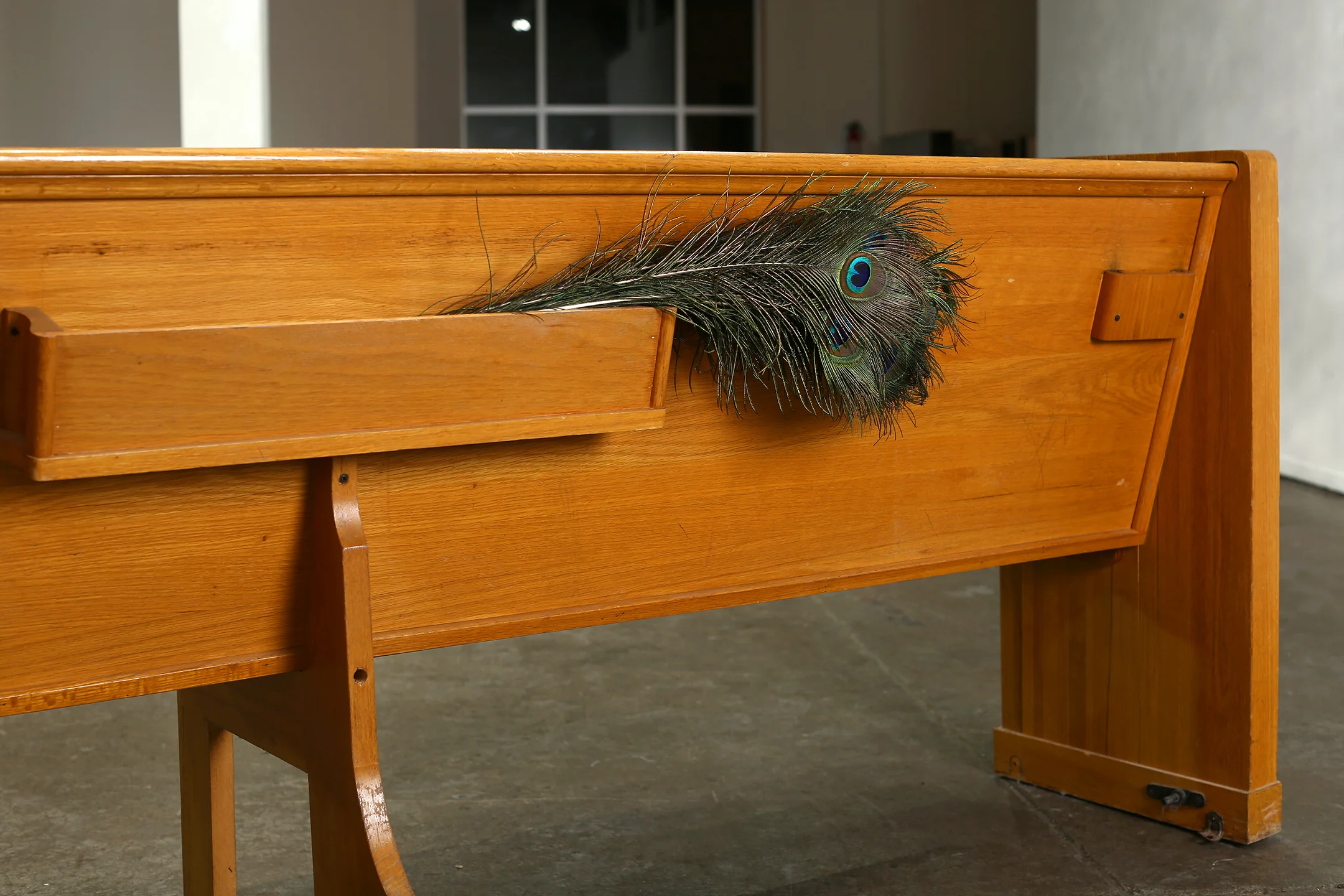 Peace be with you (reverse side) 1950’s Roman Catholic wood oak church pew, iron ore, peacock feathers 181” x 32” x 21” 2018
