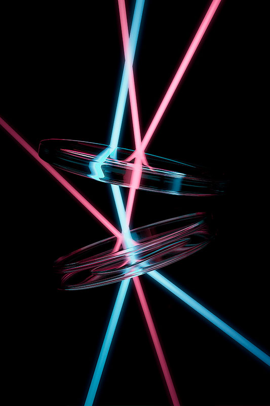 Transfigure - Biology & Cosmology 2016