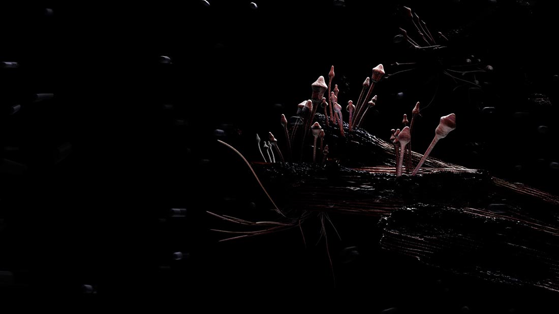2007 Growth - Frame 2735