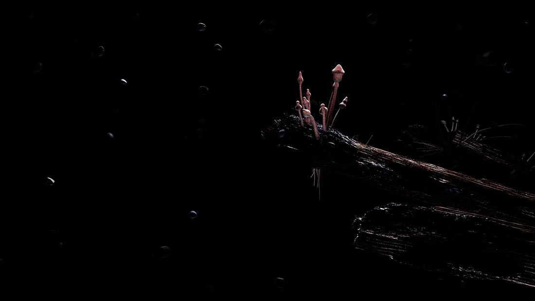 2007 Growth - Frame 3002