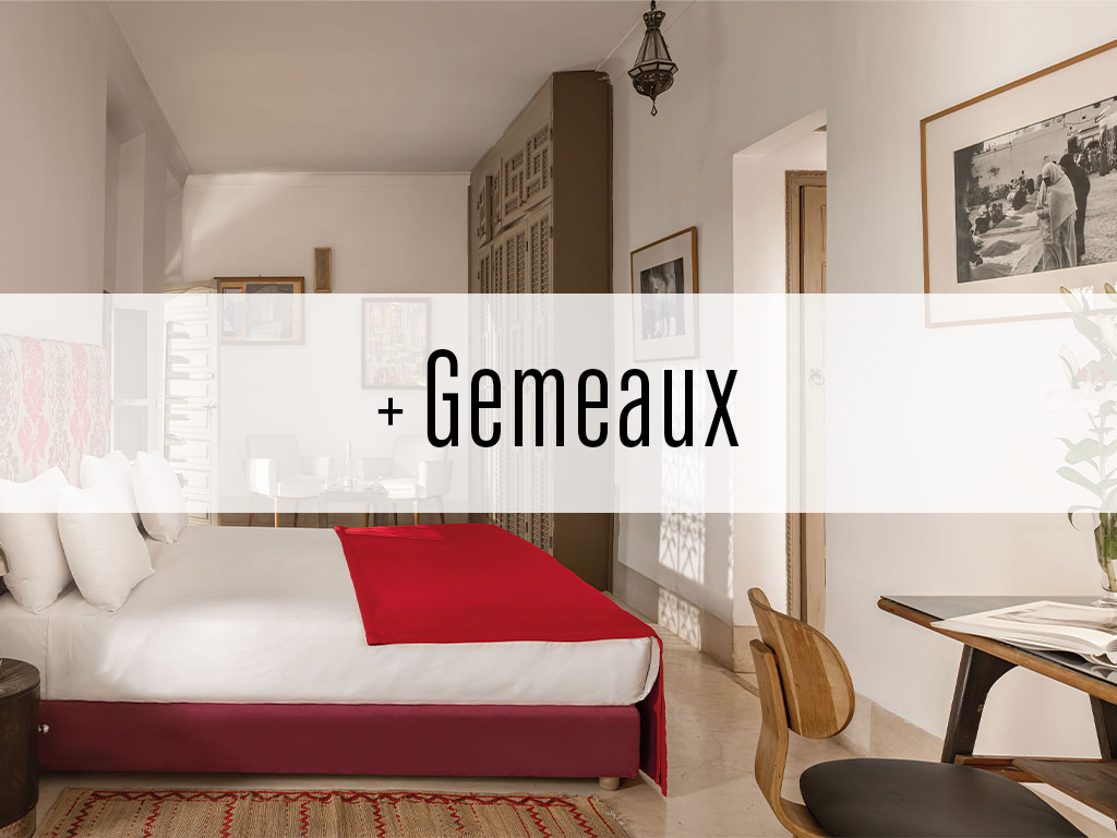 Gemeaux.png