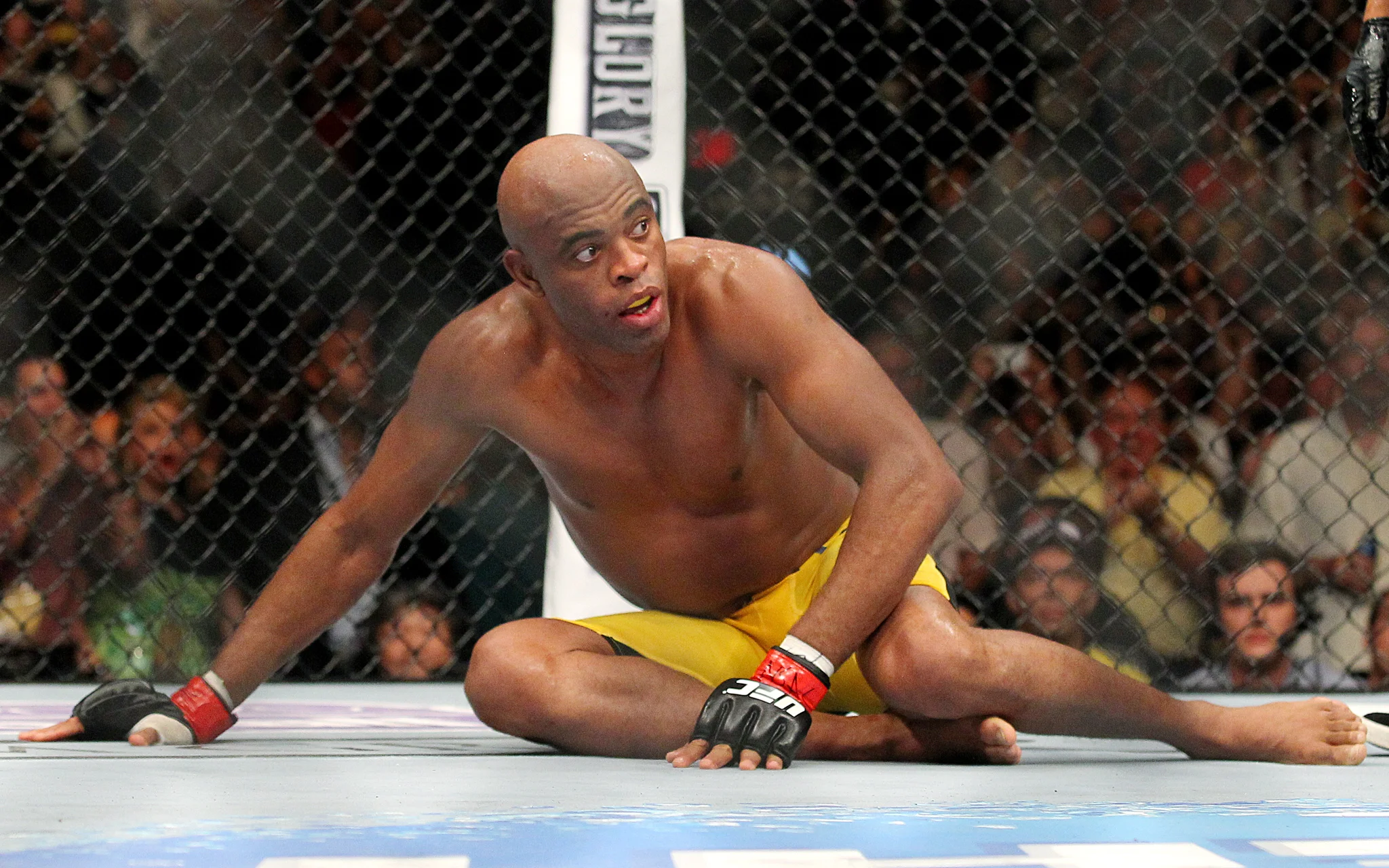 Image from mixedmartialarts.com