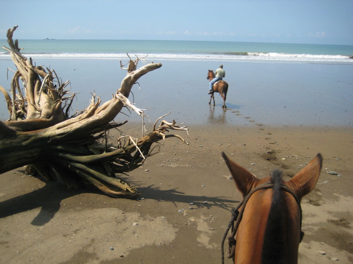 horseback-riding-to-deserted-beach-uvita4.jpg