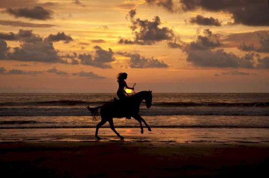 horseback-riding-in-ballena.jpg