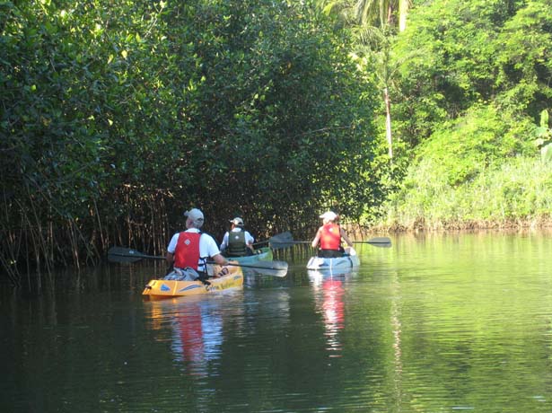 Hatillo-Estuary-Mangrove-Kayak-Costa-Rica02.jpg