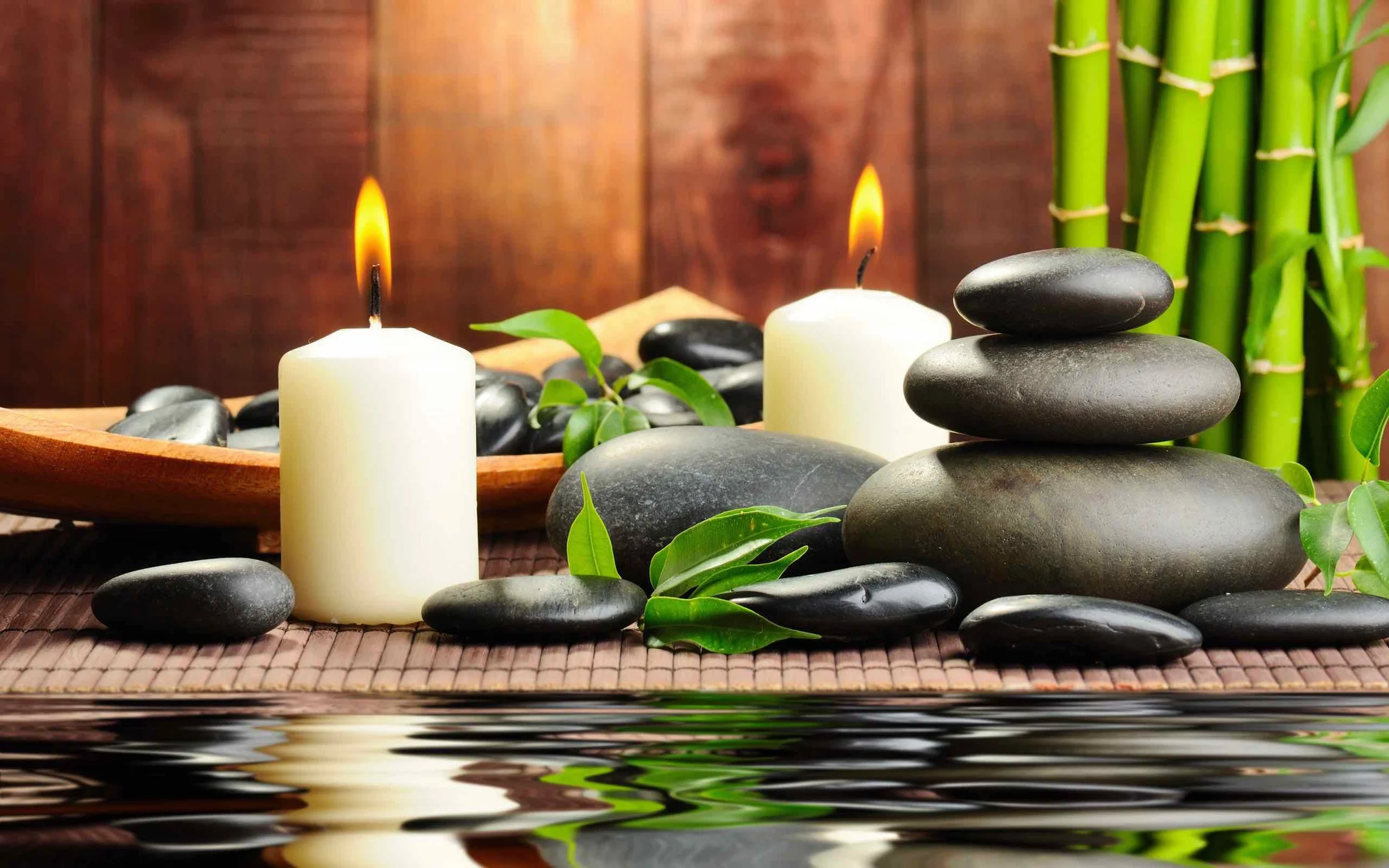 Wellness Banner.jpg