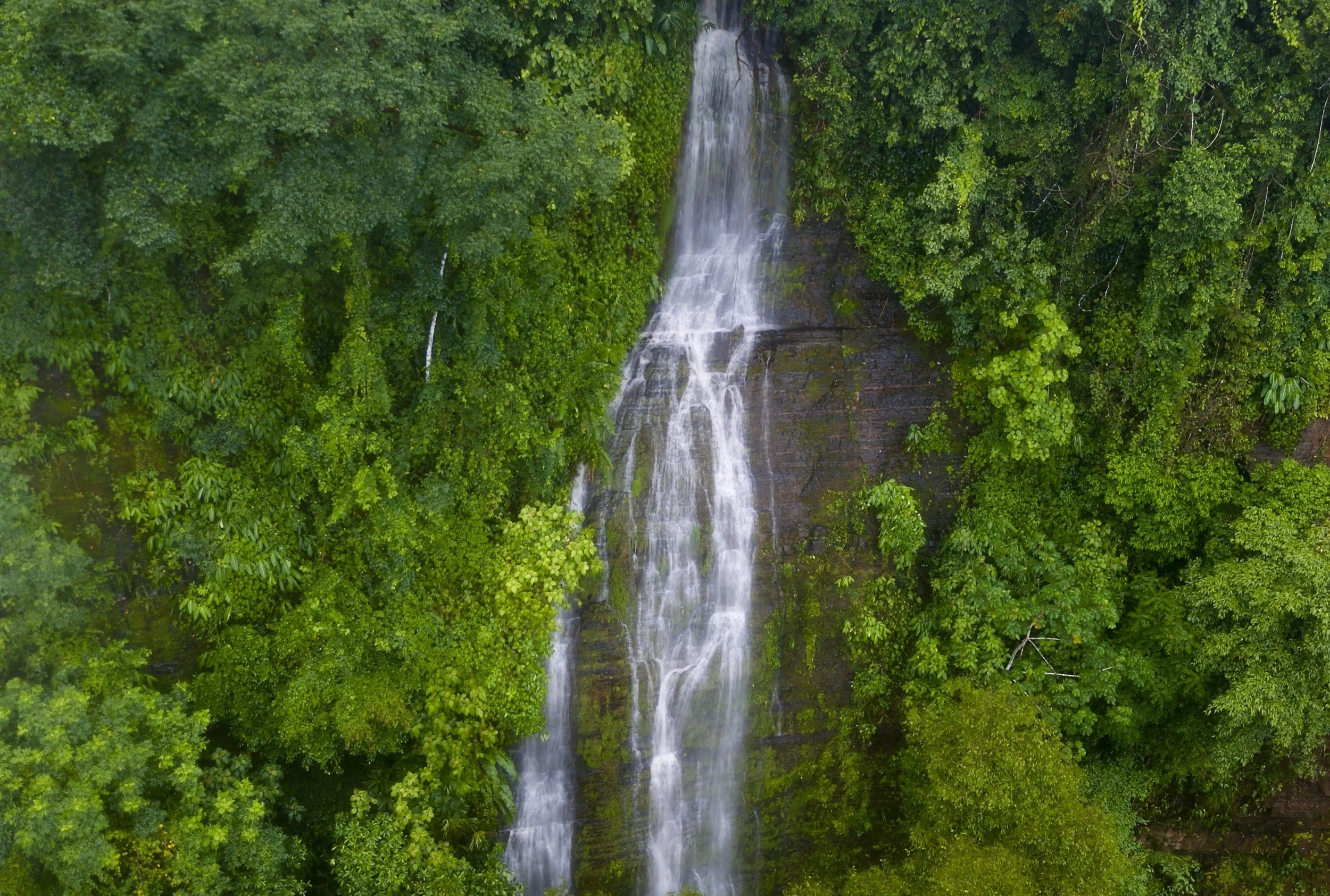 Things To Do in Uvita &amp; South Pacific Coast of Costa Rica