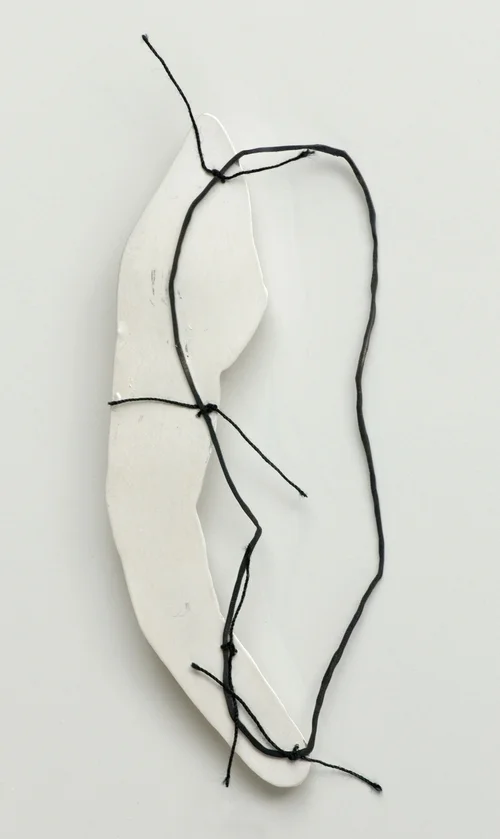 KRISTINE BOLHUIS - IMAGES -  BIRDBROOCH.jpg