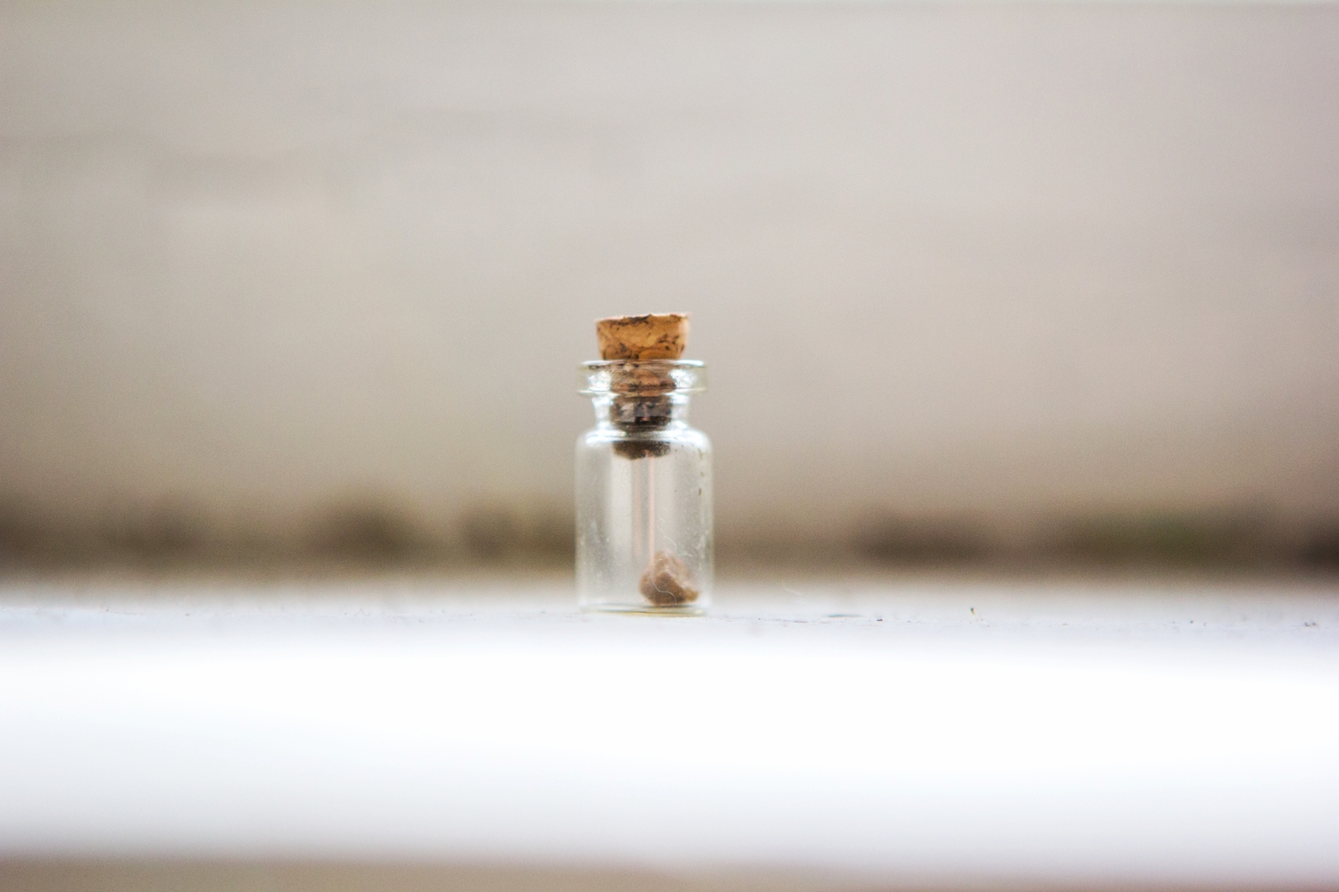 Jan 14th - So often I find myself taking photos of the things I want to hold onto. It is not so much that I am attached to stuff but the memories items carry with them. I think this is my way of cataloging all those little memories. 