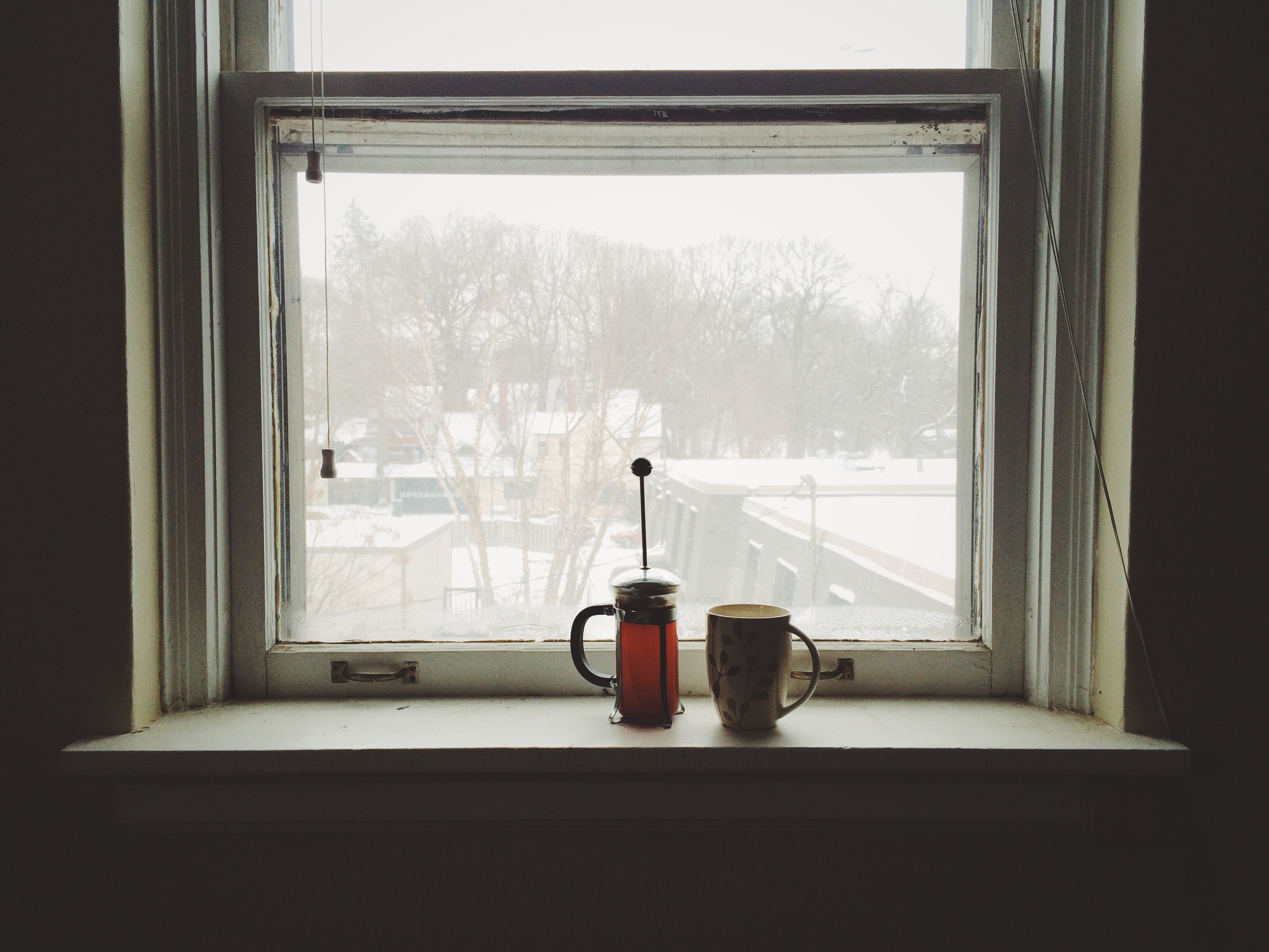 Slow snow days. Kind of loving this curling up business. 