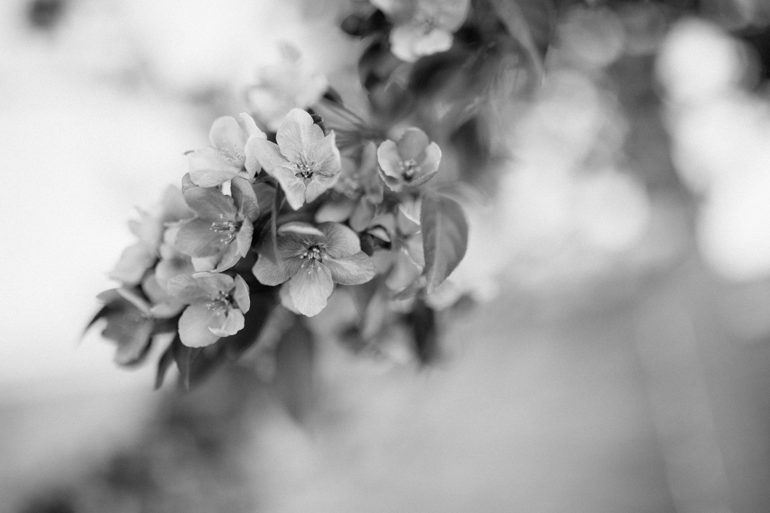 Detail from my first wedding of the year, early this month. 