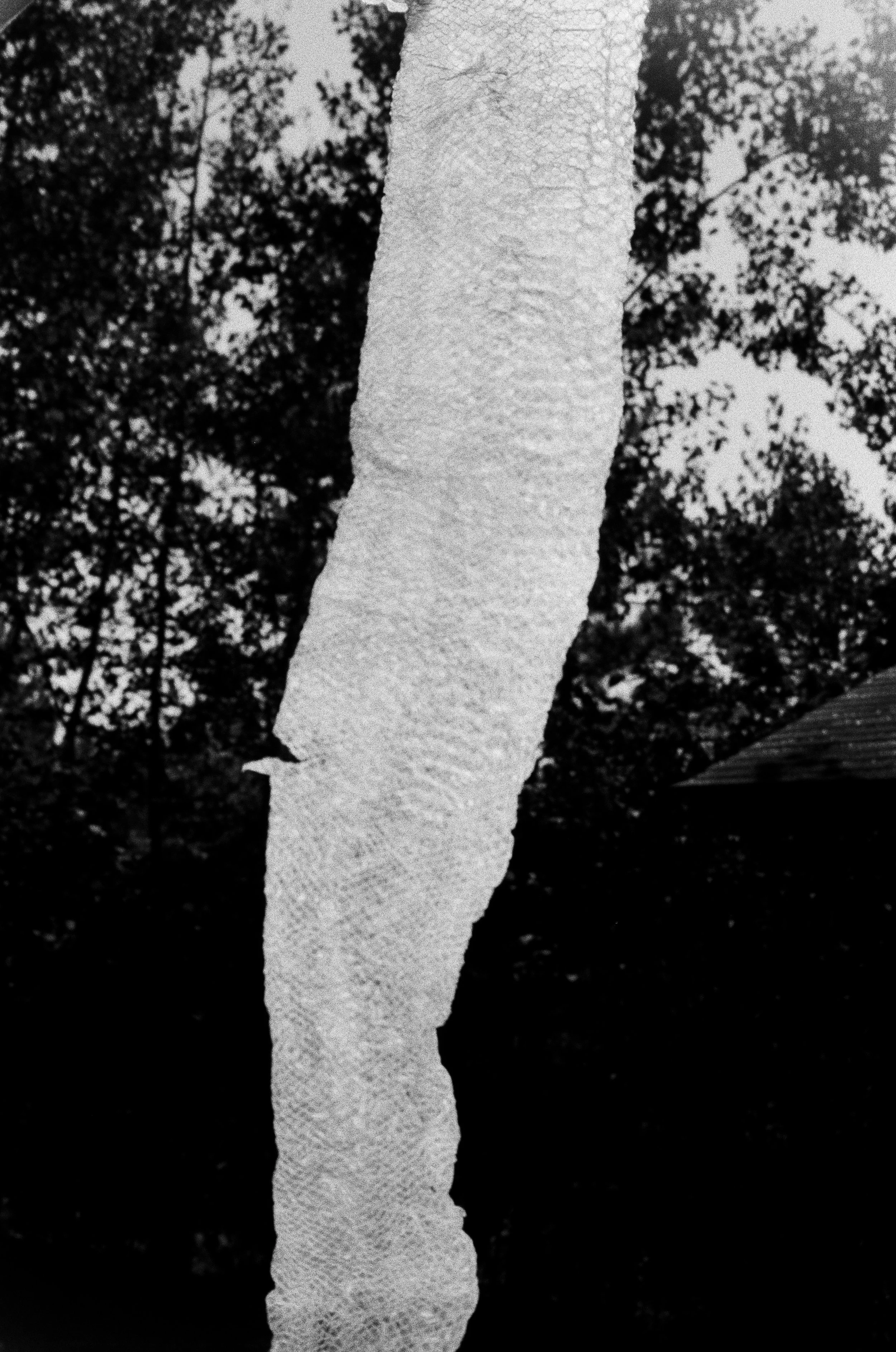 810299_0009.jpg