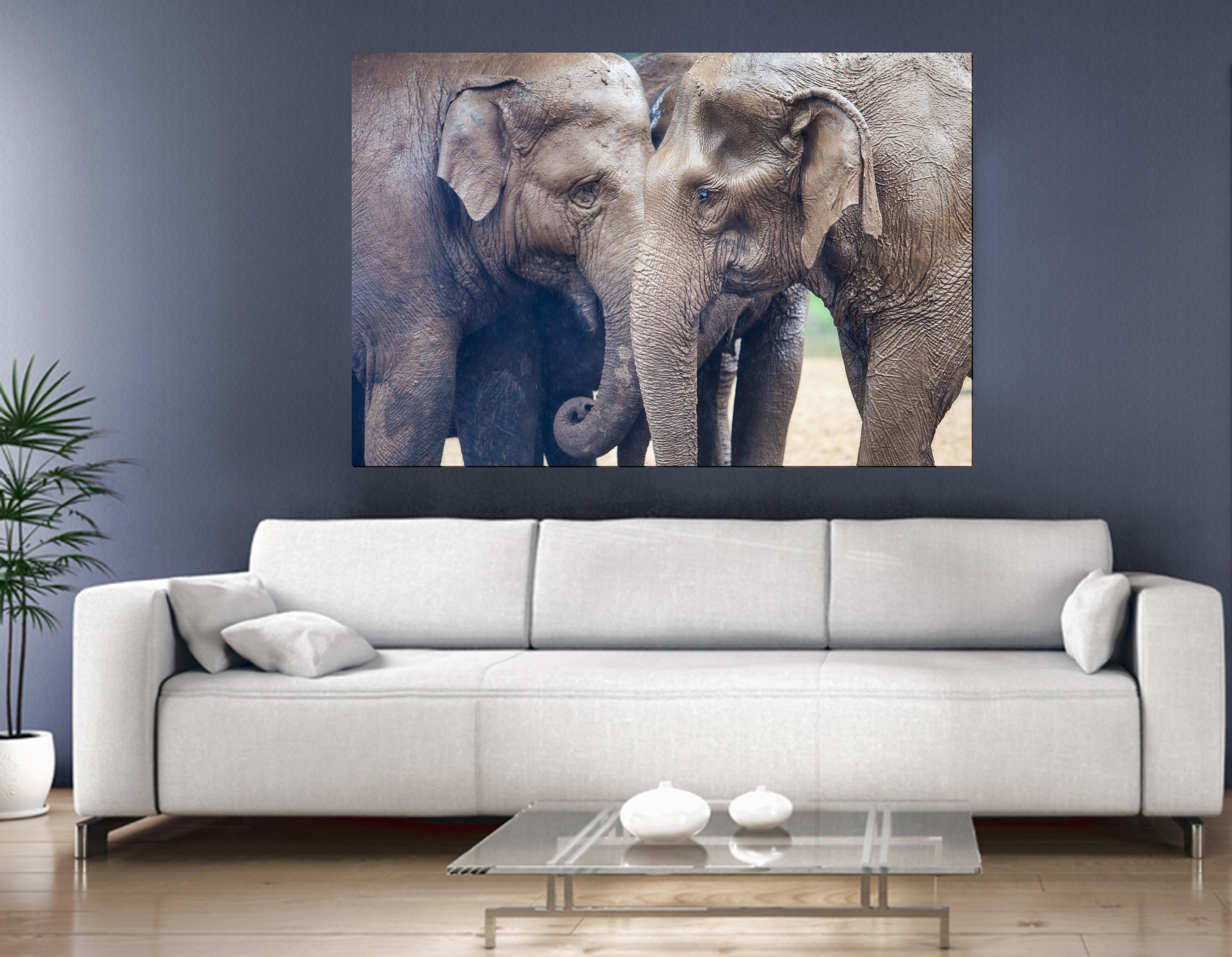 RE_Elephant_livingroom.jpg