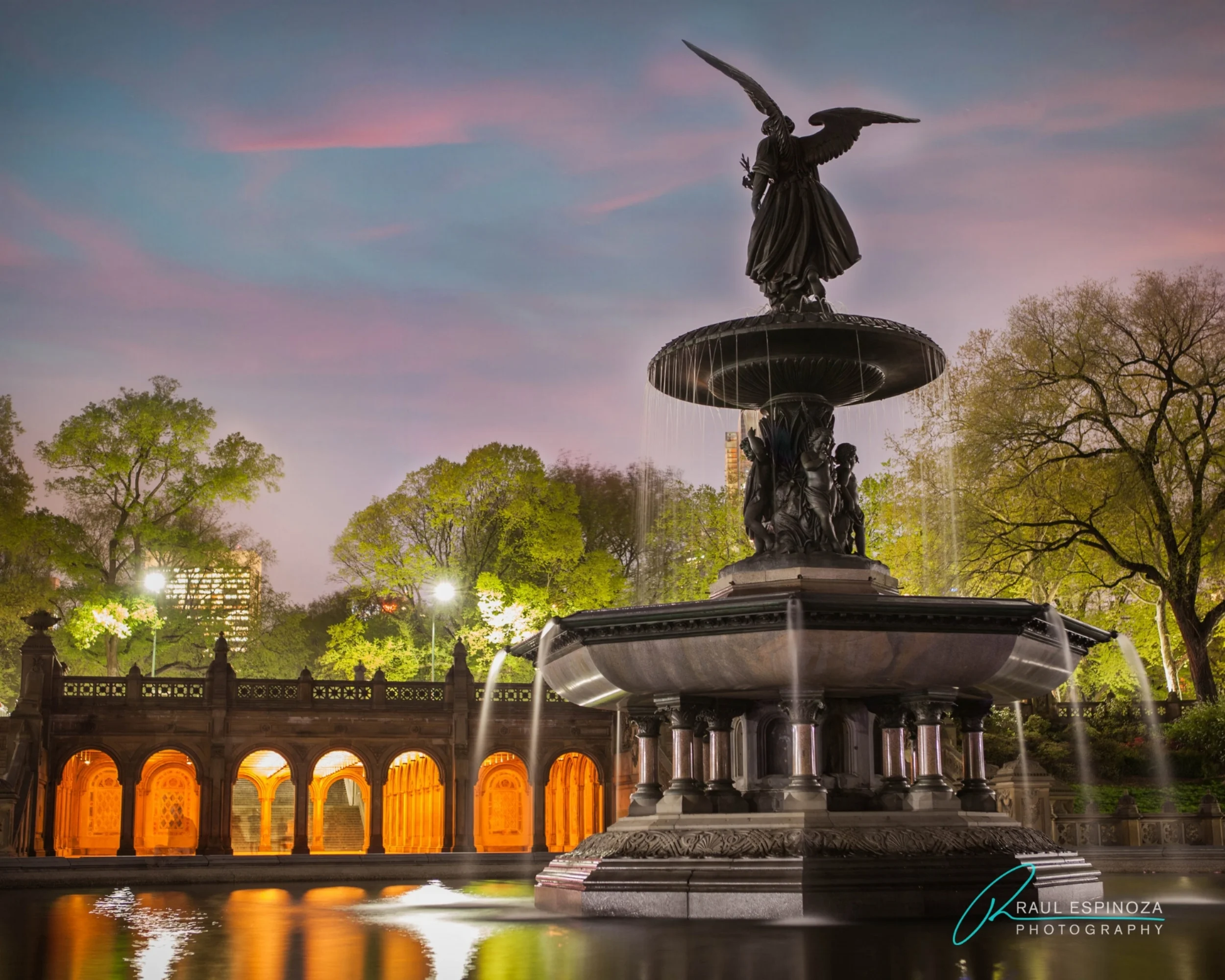 Central Park Angel Puzzle