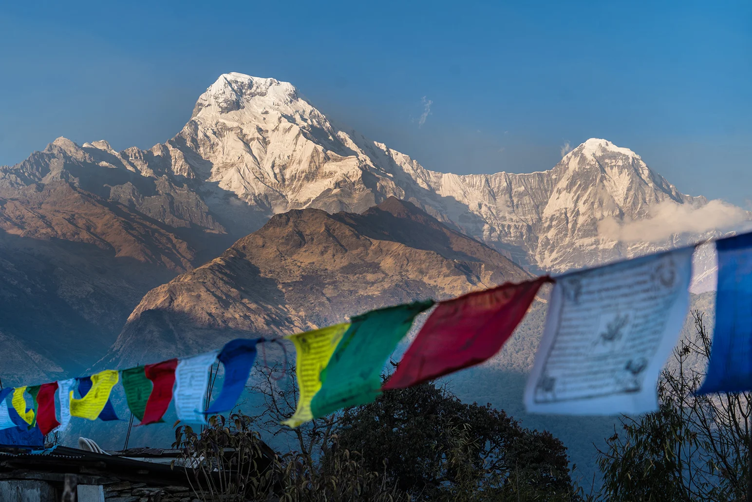 Himalayas_65 copy.jpg