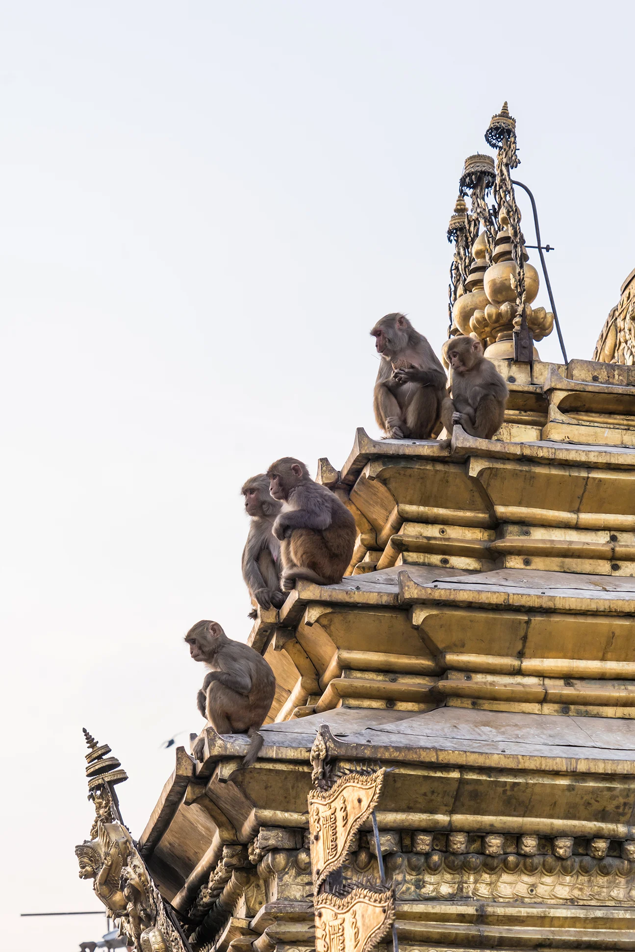 Kathmandu_30 copy.jpg