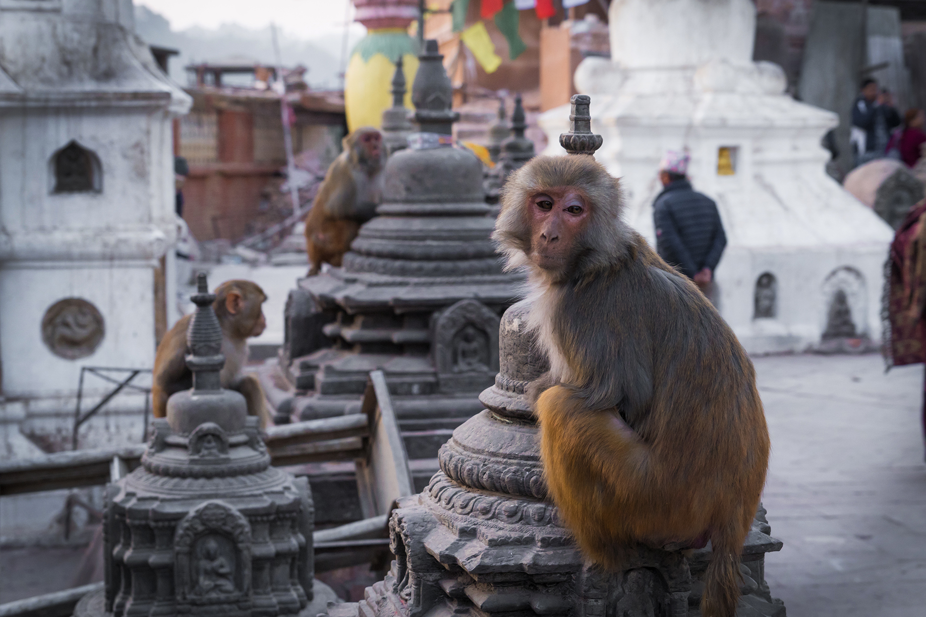Kathmandu_42 copy.jpg