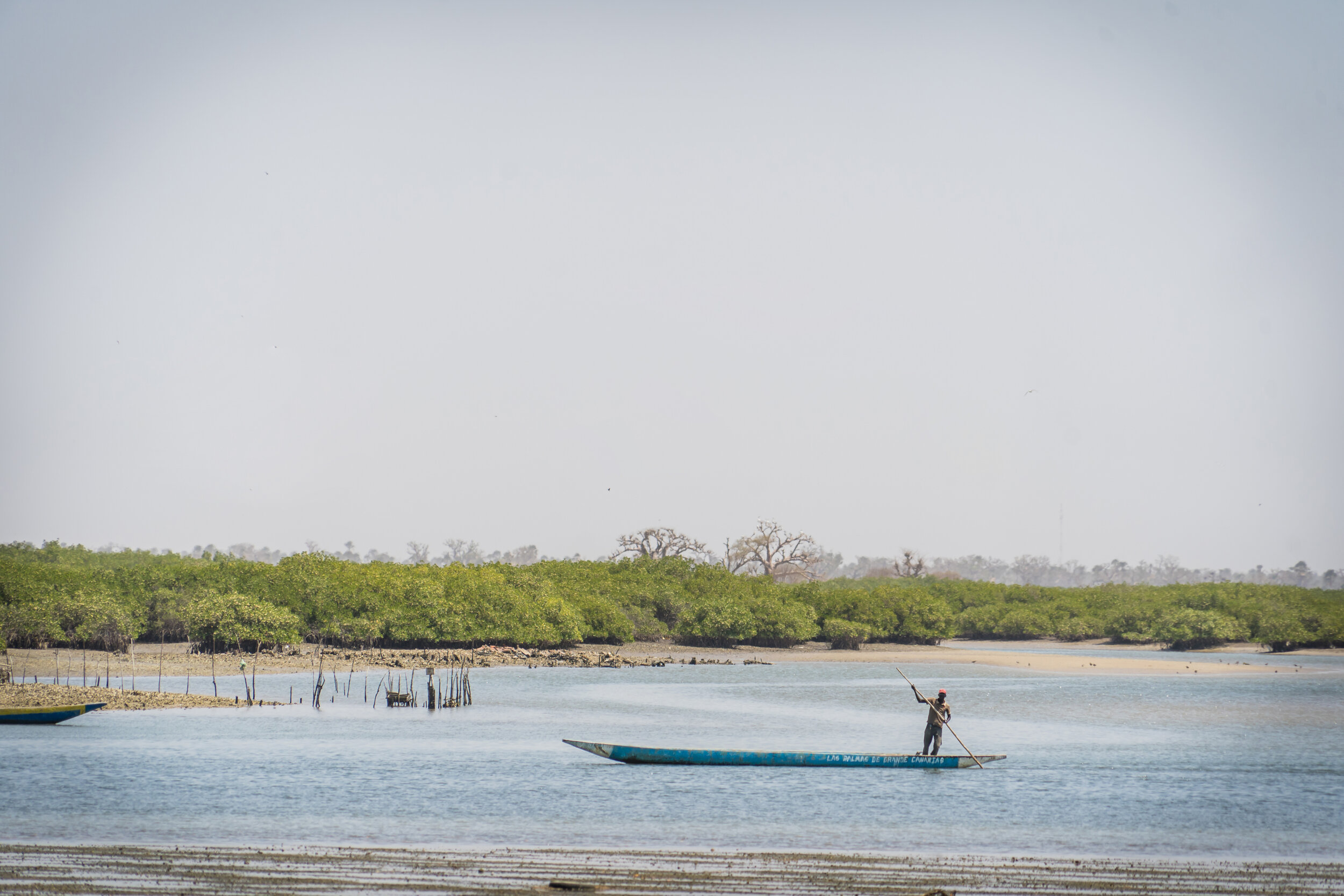 Senegal_1_11 copy.jpg