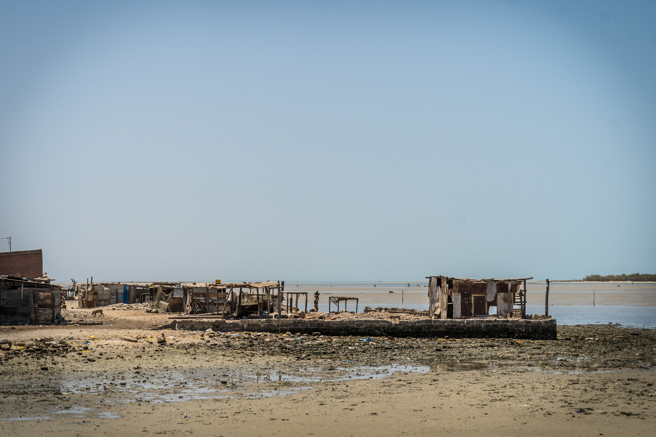 Senegal_1_16 copy.jpg