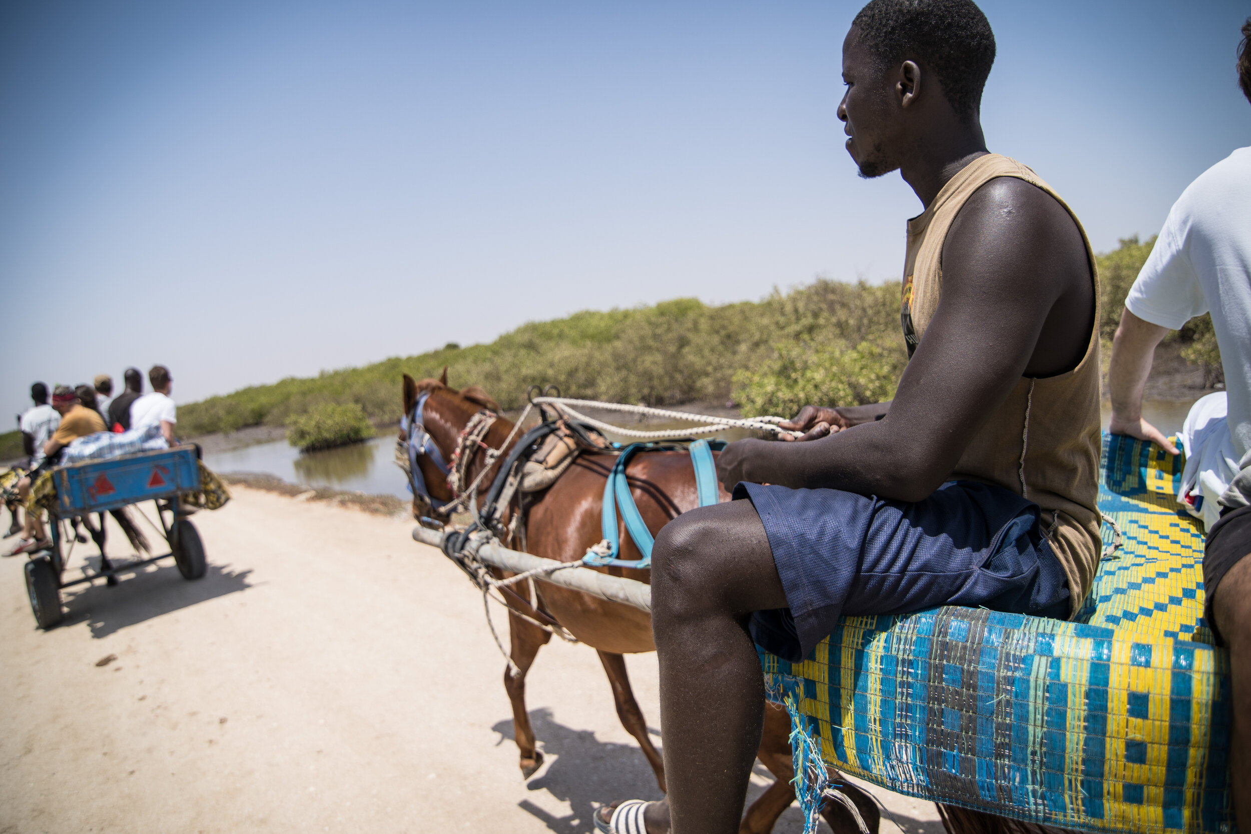 Senegal_1_101 copy.jpg