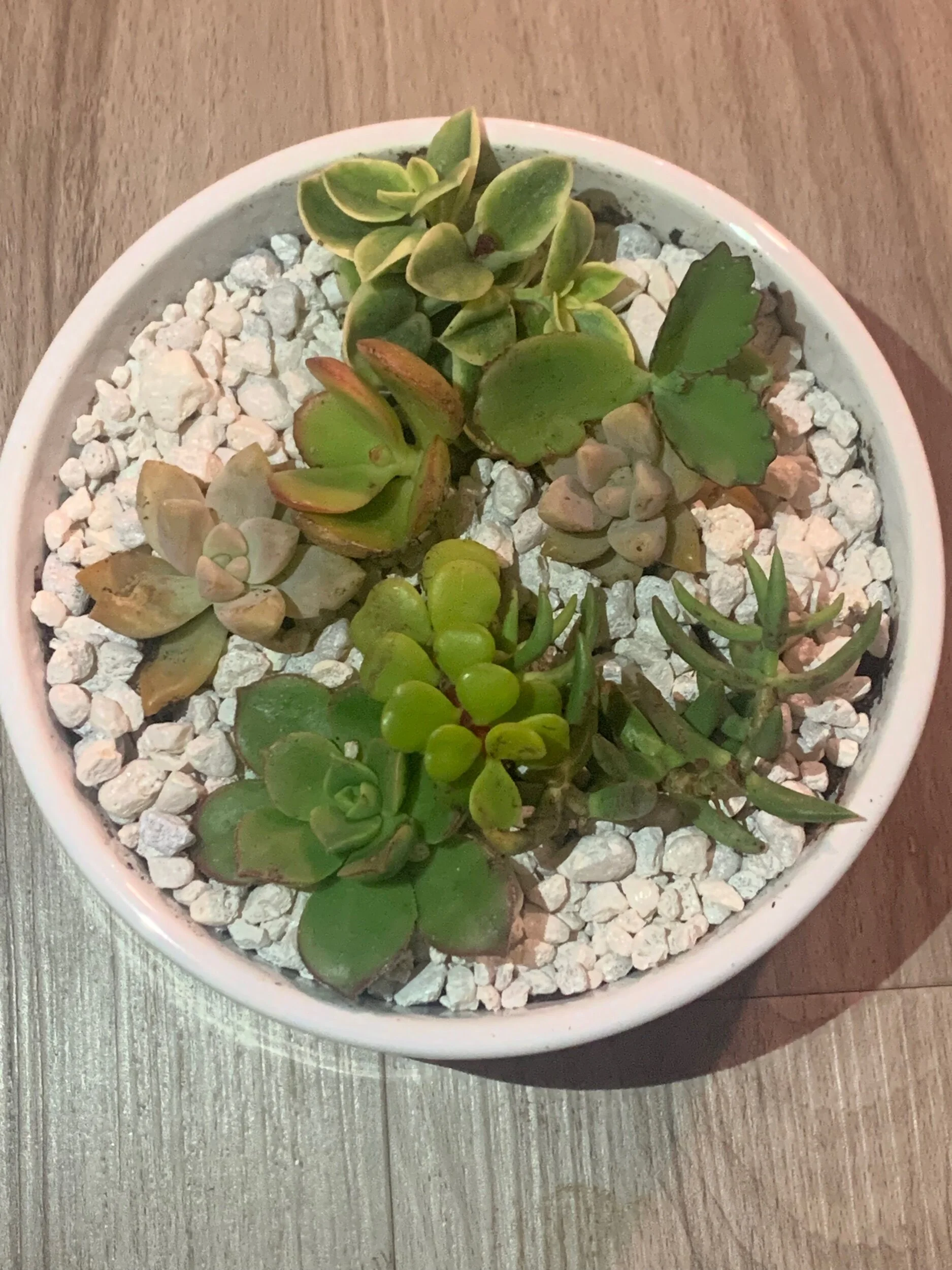 3ECE3D8A-8FDC-4A6C-8248-221A7E5C4493