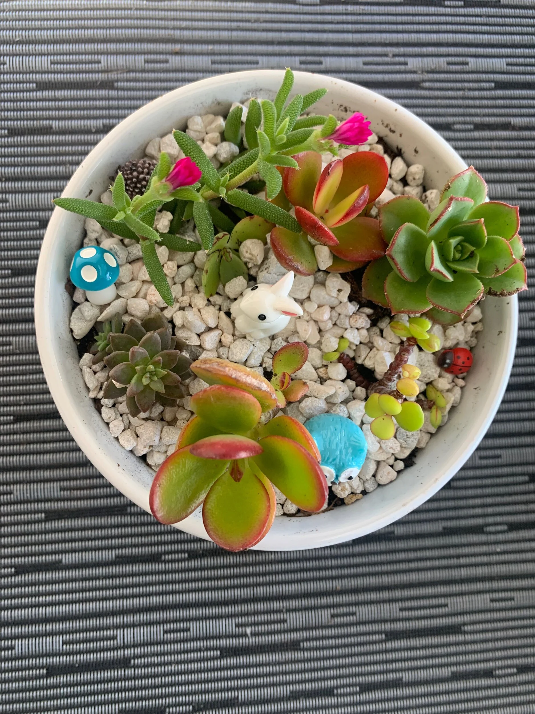 4C083623-3FE8-47B7-92C7-1AAE280E56EF