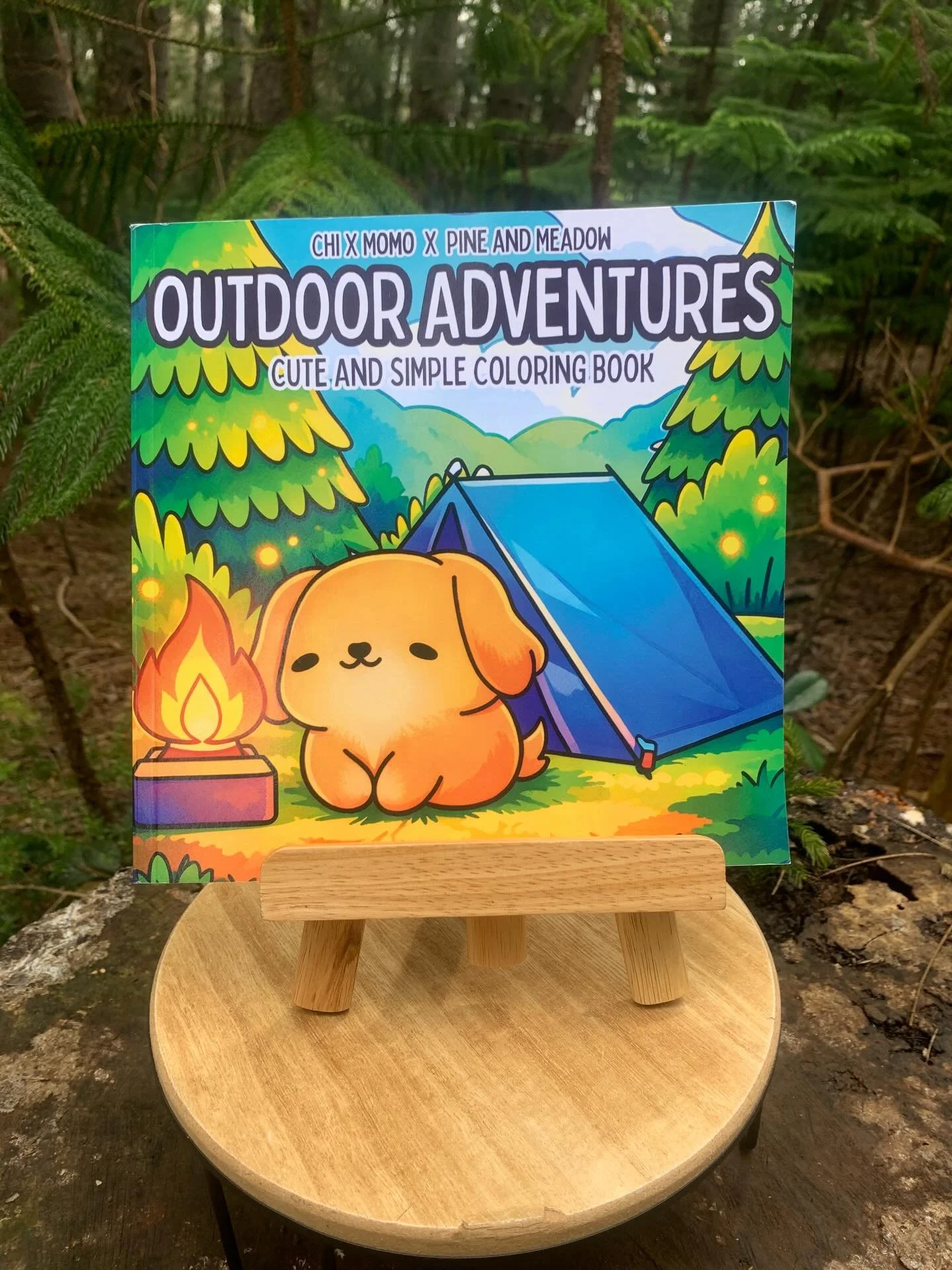 Our online shop @pinenmeadow will be popping up at the Hahaione Fun Fair.  We will be bringing our original coloring books and other fun products made across the states.