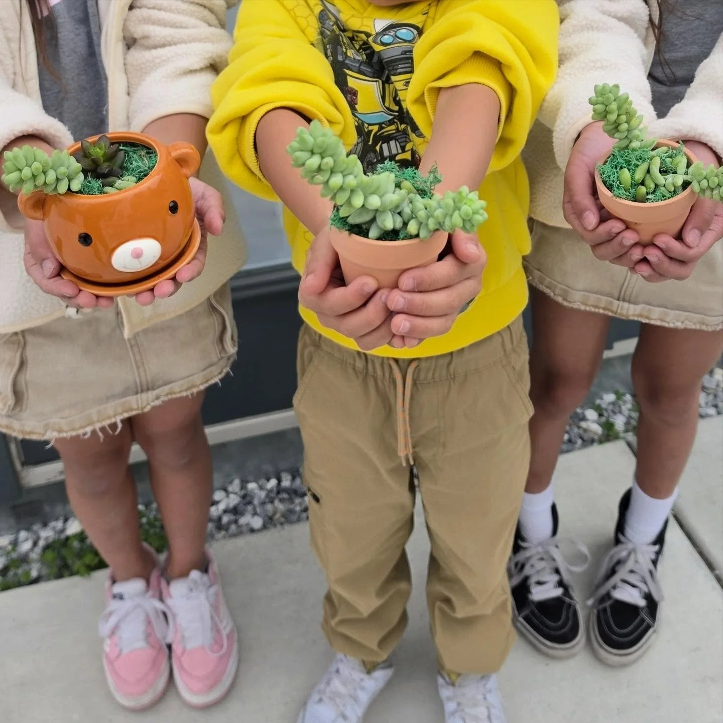 The finished products from my Bay Area succulent class. 🍃🌱