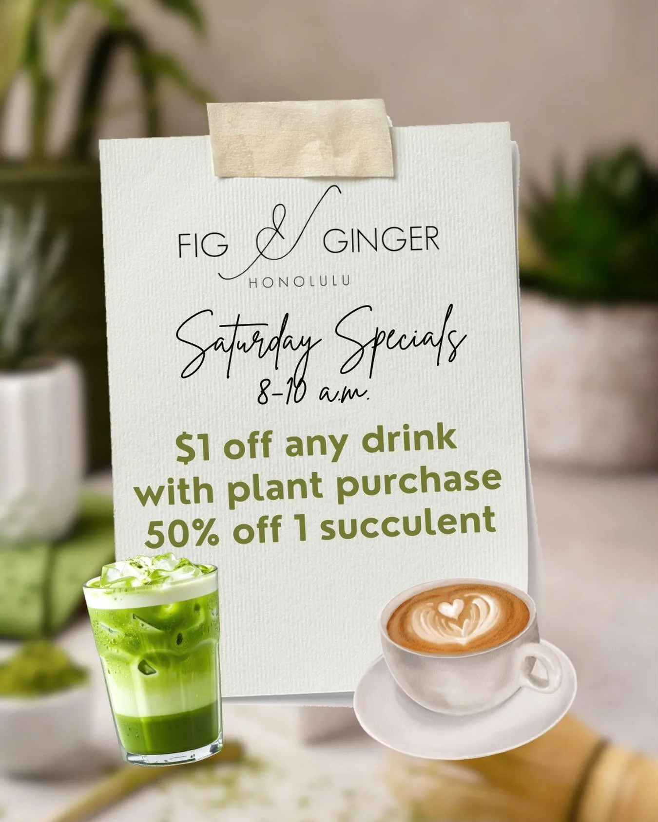 Can&rsquo;t wait to see you this Saturday (8-10 a.m.) at @fig.gingerhonolulu in McCully Shopping Center.  Enjoy $1 off any drink when you purchase a plant from @artsandflavorshi.  Also enjoy 50% succulent arrangements (limit 1 per customer, while sup