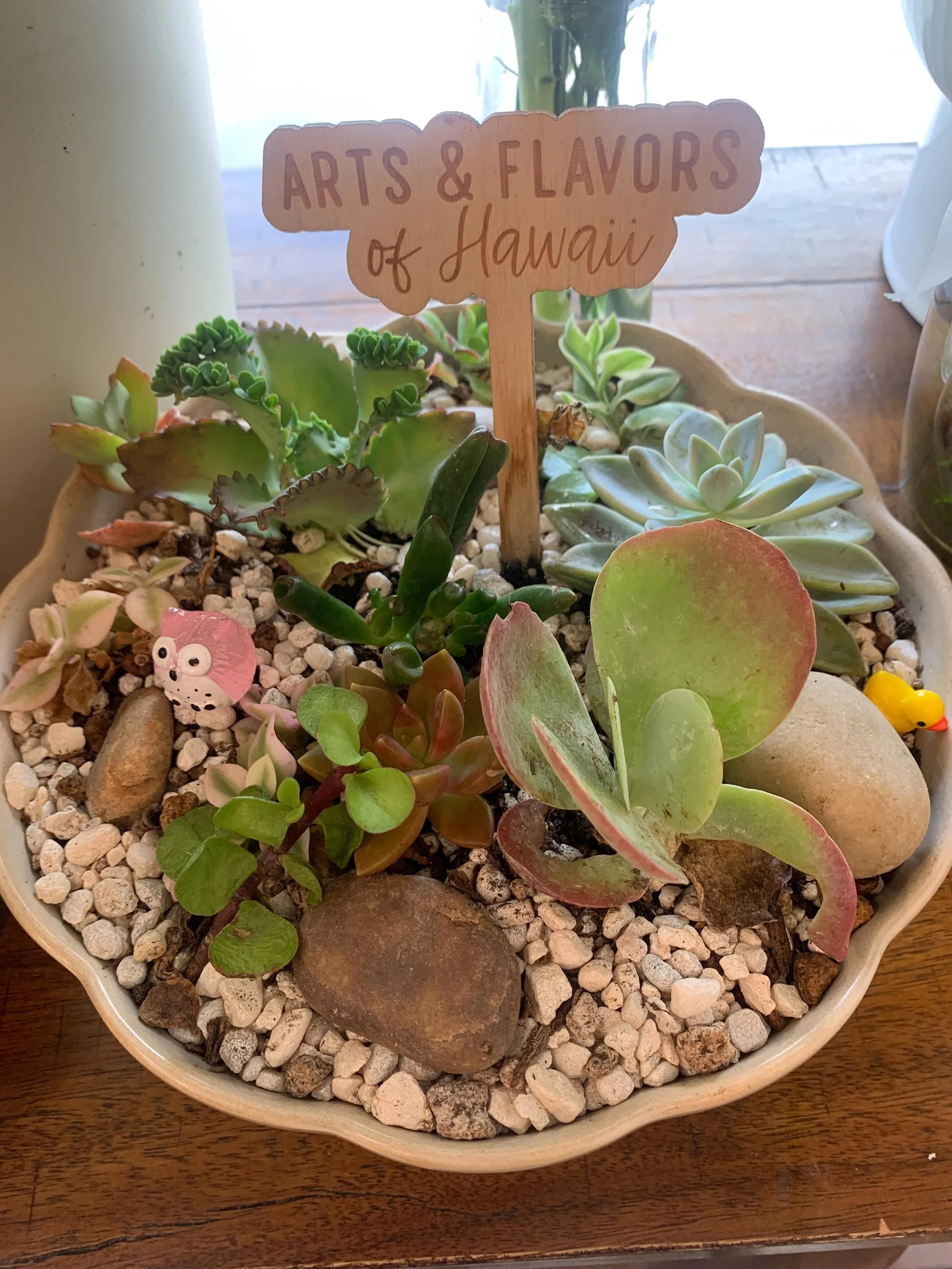 Grab your succulents at @fig.gingerhonolulu now-10. 🪴