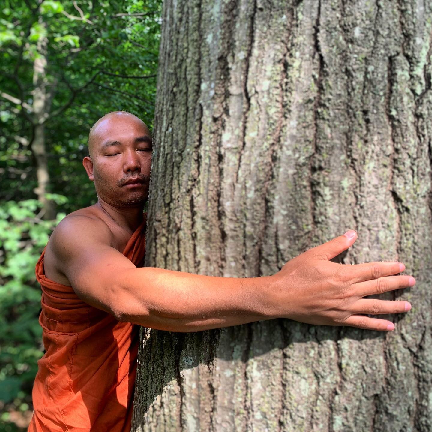 What America needs right now: a hug. 

🧘🏽&zwj;♂️@mysticmonk2 #maine #treehugger #hugs #zen #buddhism #buddhistmonk #compassion #election2020 #latergram #tbt #goodvibesonly