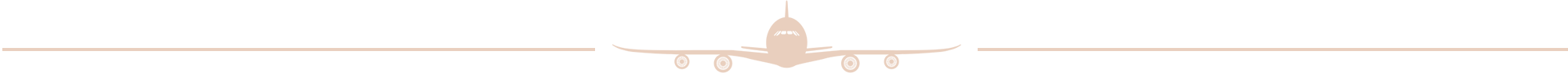 Thrive Plane.png