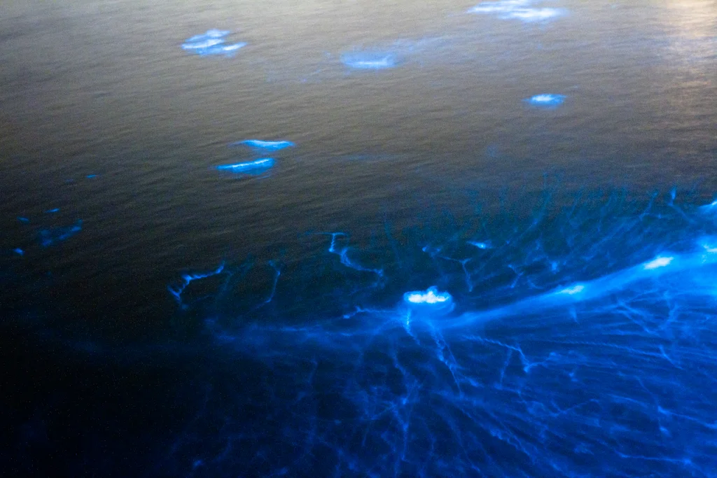 A Whole New Take On Sparkling Seas!