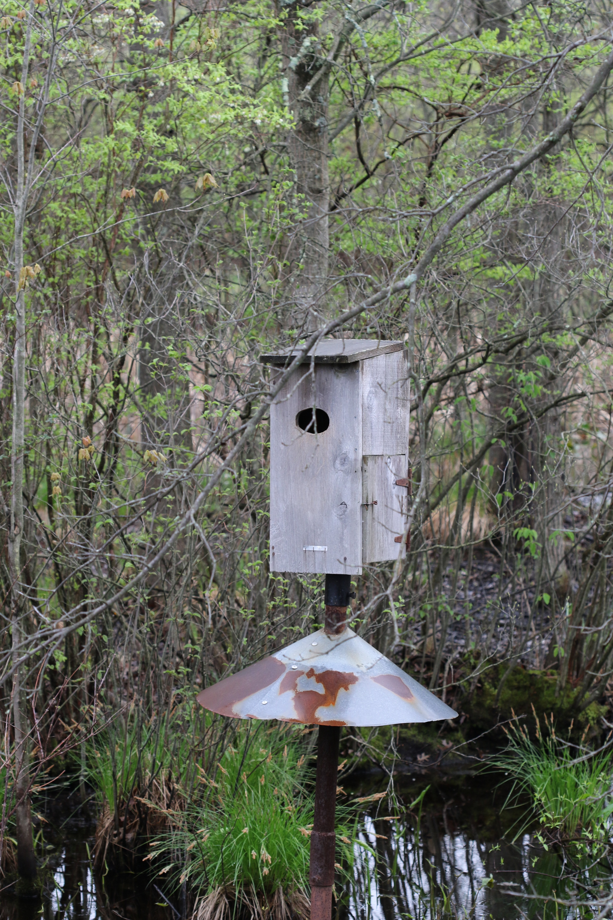 Nest Box for Wood Ducks