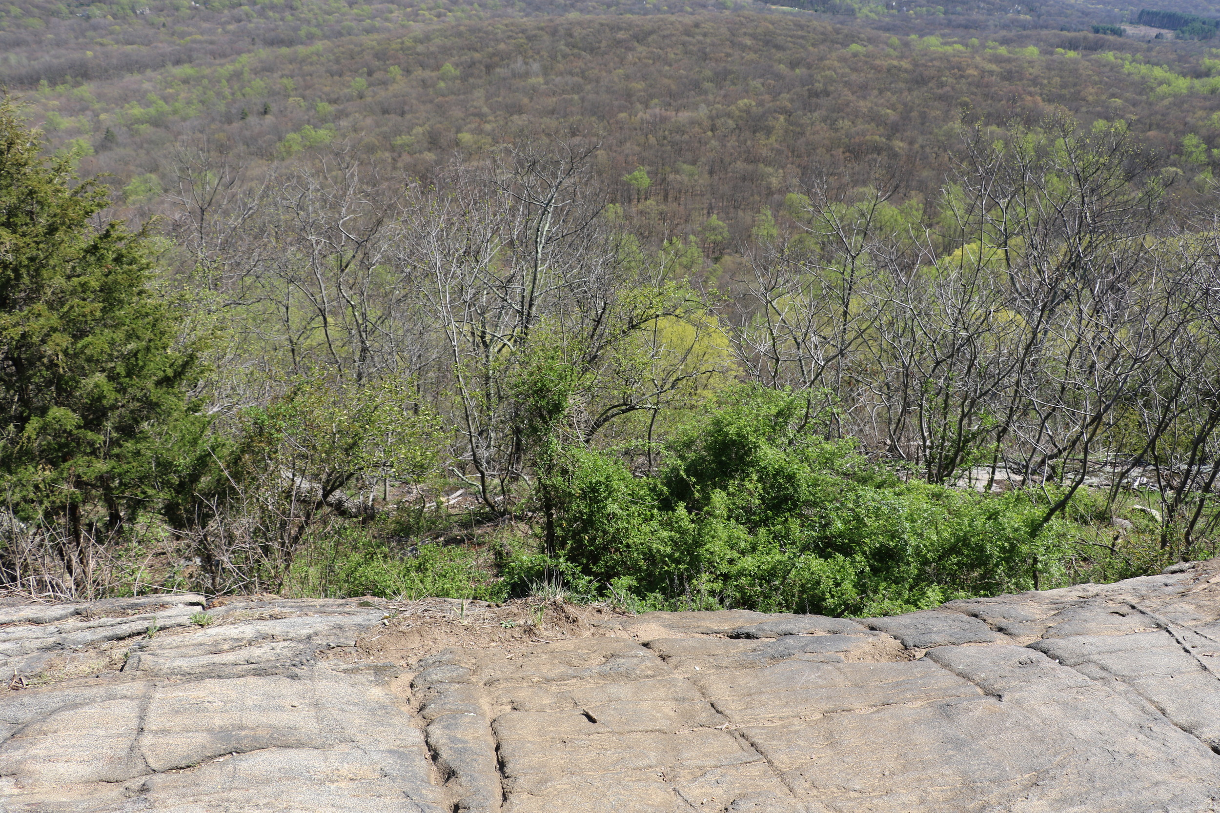 Another View from Hawk Watch