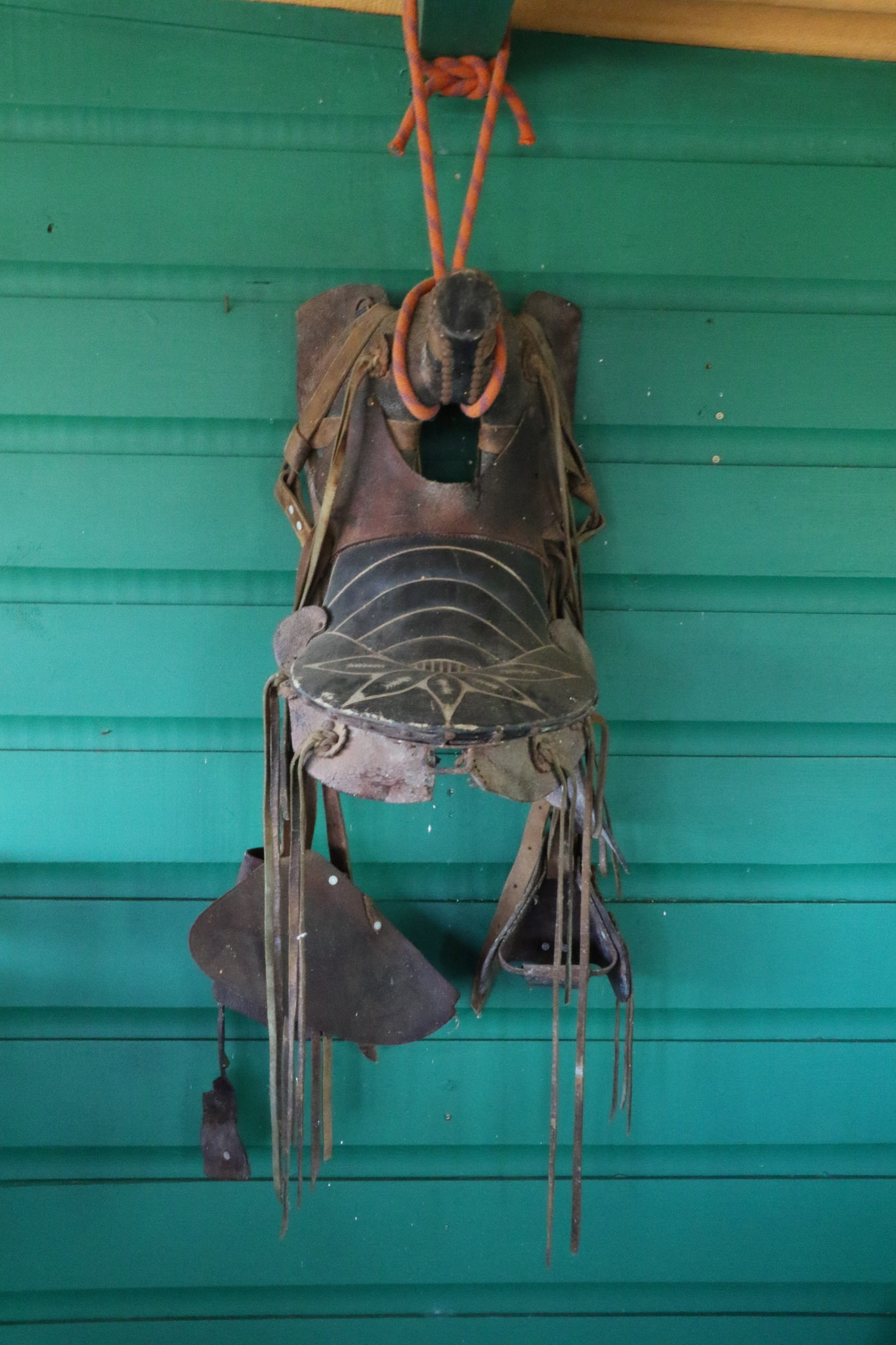 A Saddle On The Wall Reminds Us of the Ecolodge's History