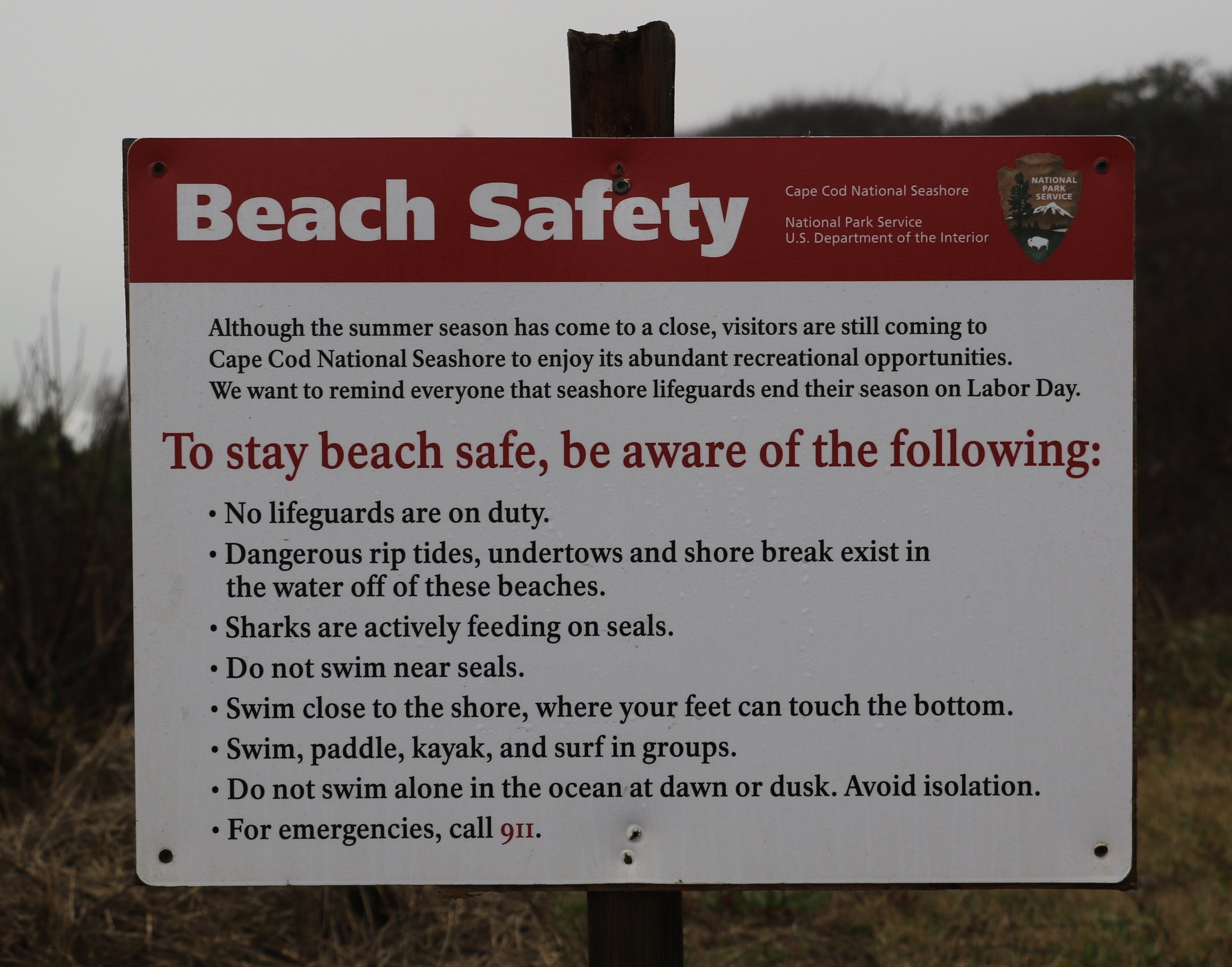 Beach Safety Rules (Watch for Sharks!)