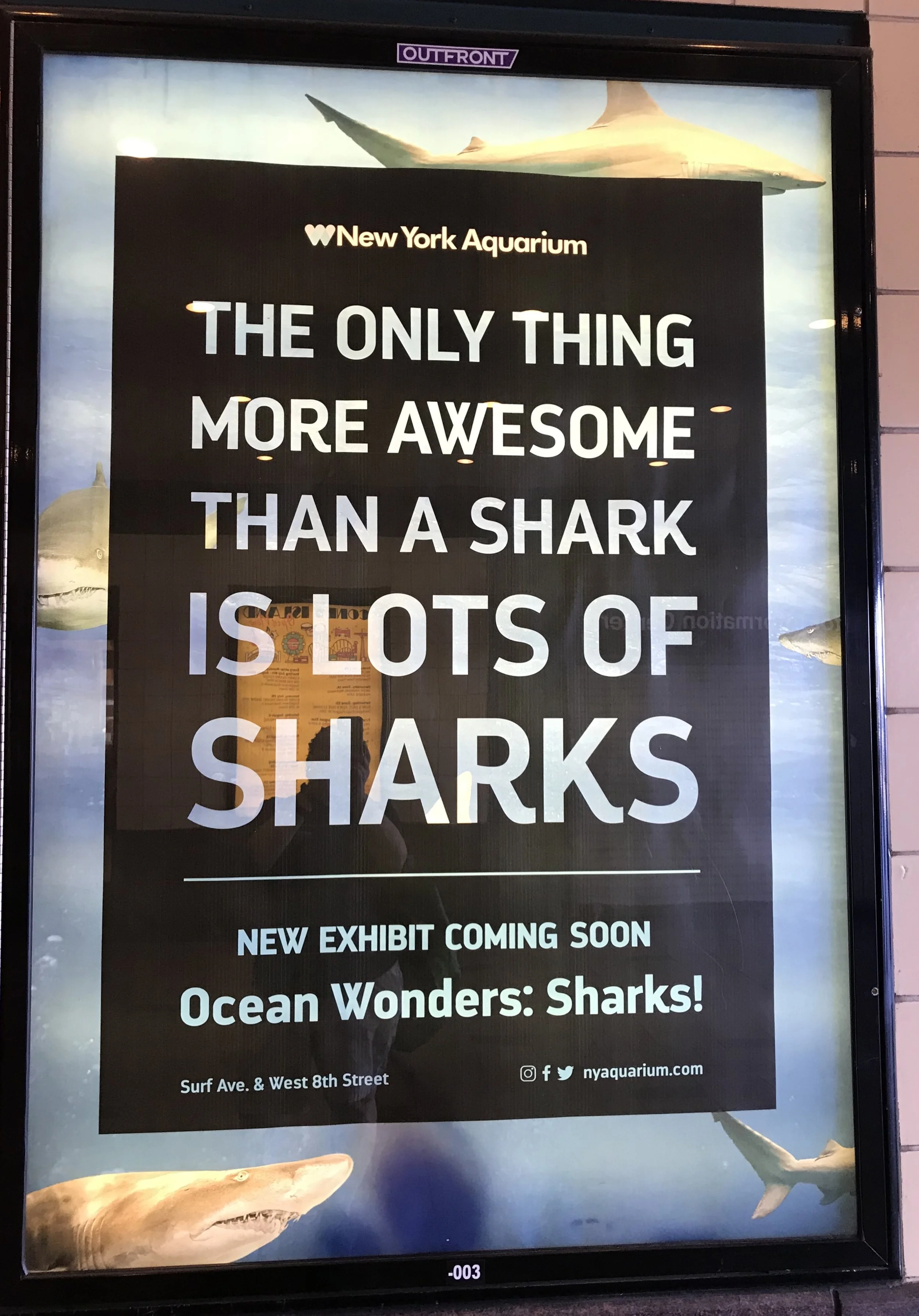 Subway Ad, Coney Island Subway Station Photo Credit: Liz Summit, 2018