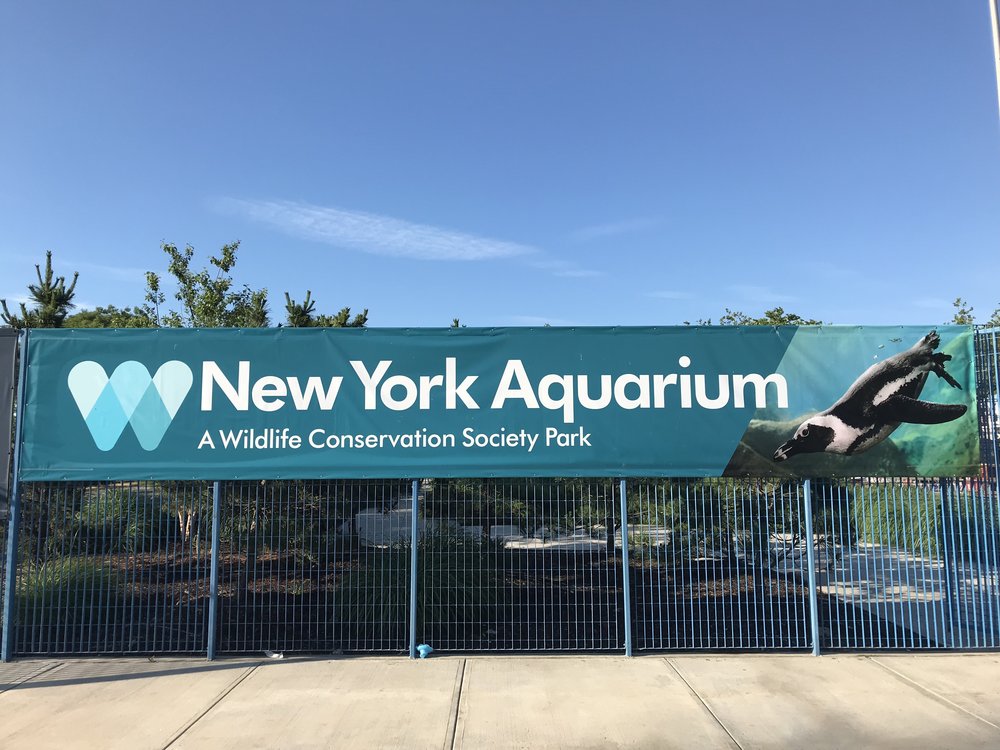 Welcome to the New York Aquarium