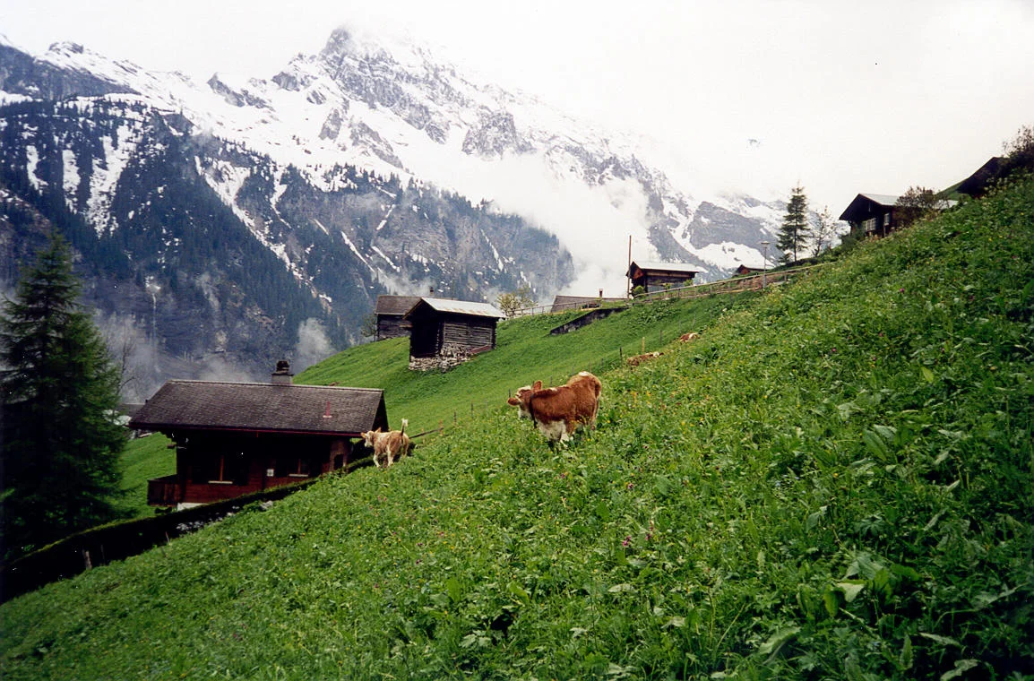 We're staying in a tiny little hotel run by a 90 year old local in the tiny town of Gimmelwald. The town resisted development by getting the land declared an avalanche zone and remains a picturesque mountain village. 