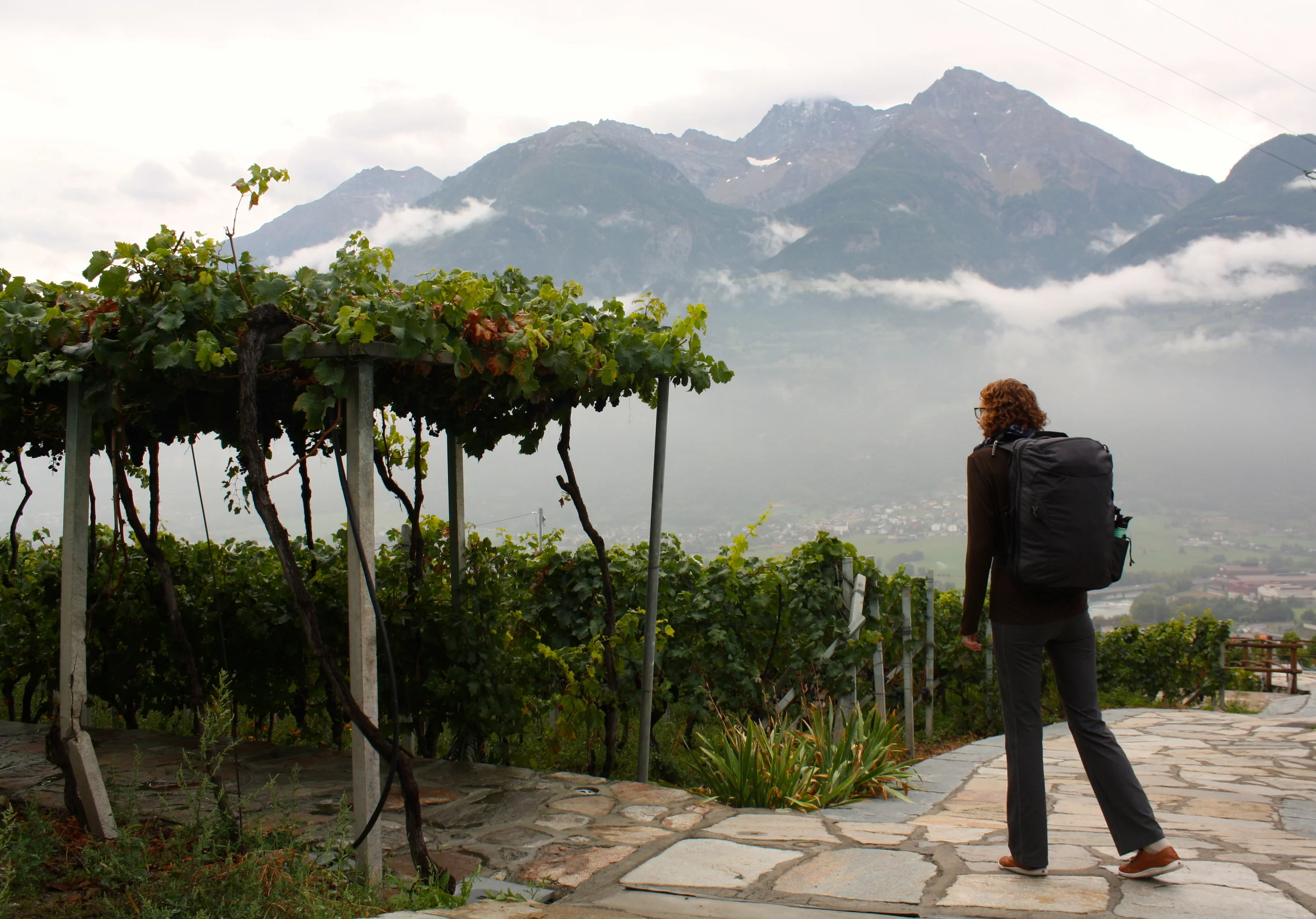 Walking to our room in the vineyard! 