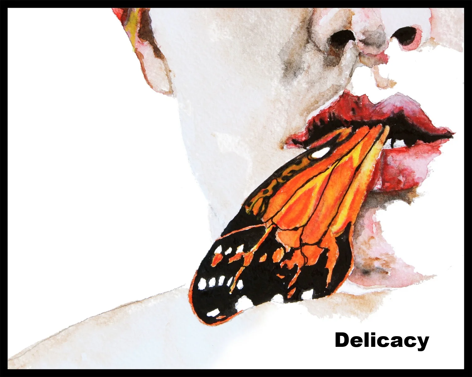 butterflies.jpg