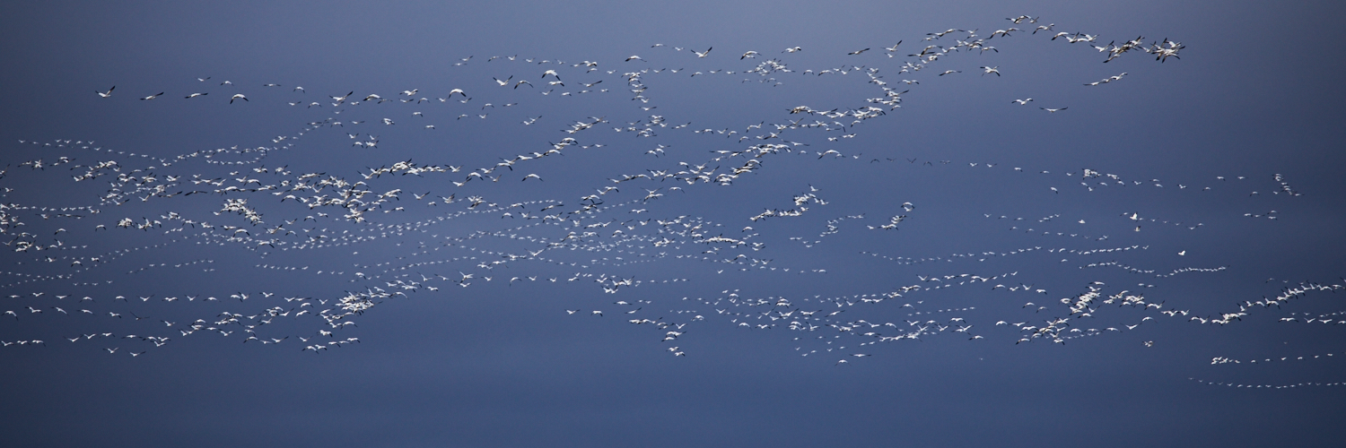 Pearls in the Sky 2016-10-30