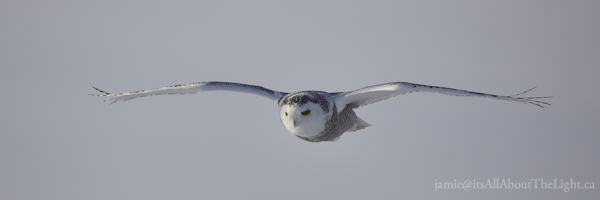 Silent flight 2018-02-02