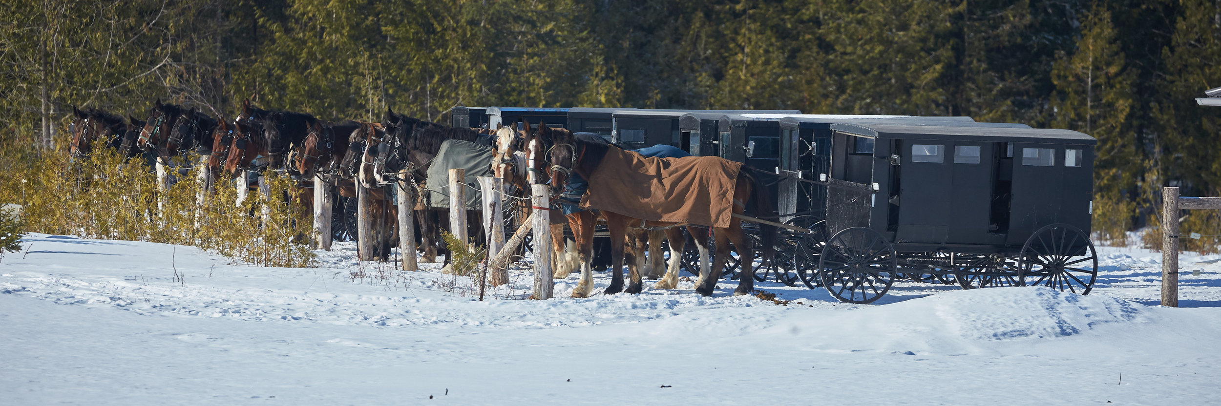 No racing here 2018-02-18