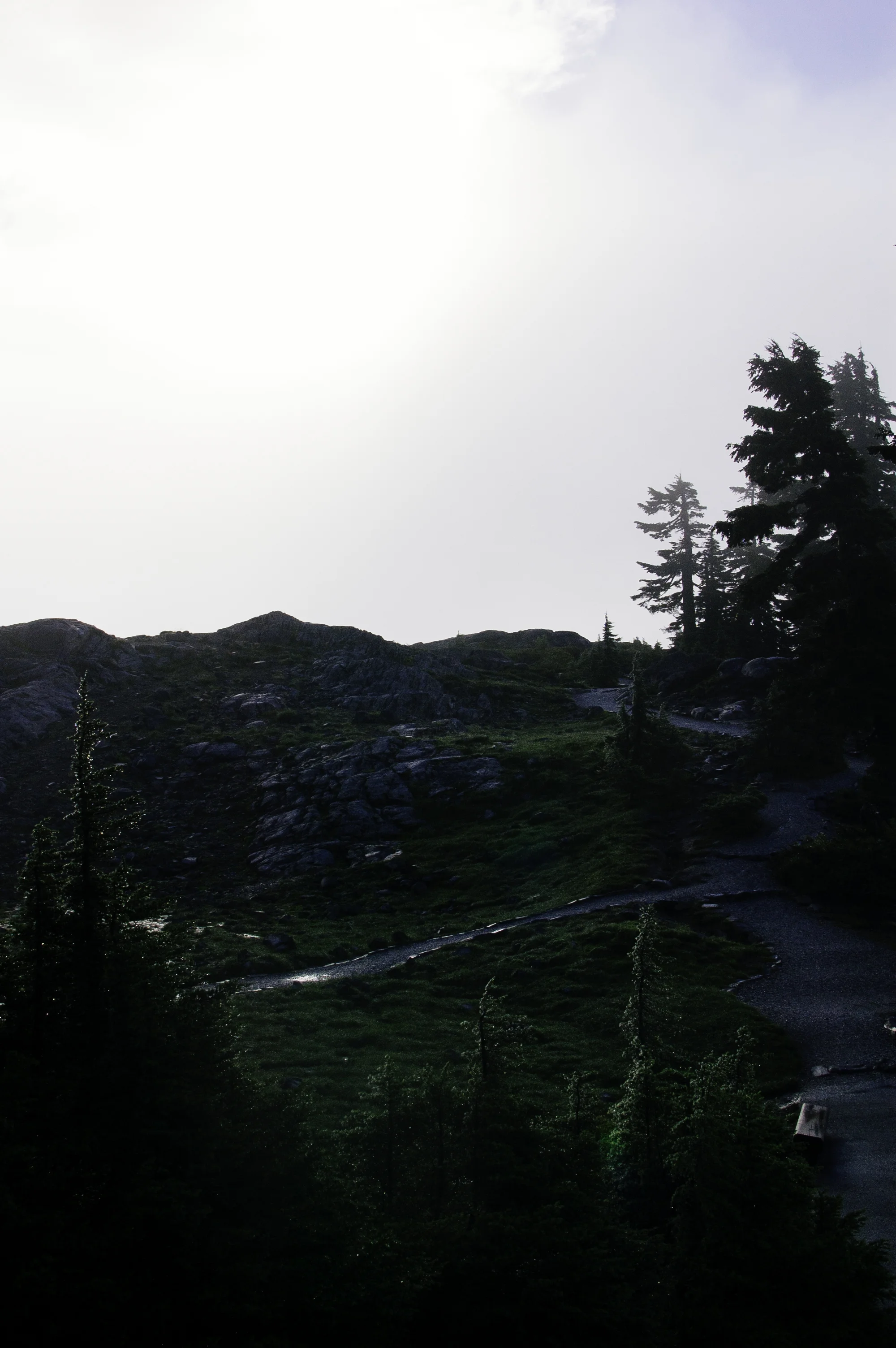 baker-9.jpg