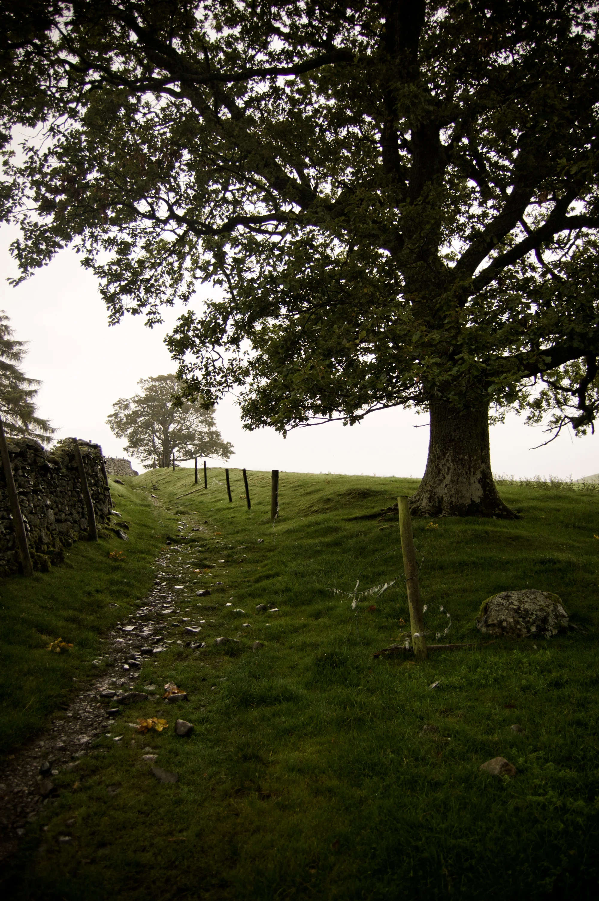 trip-115.jpg